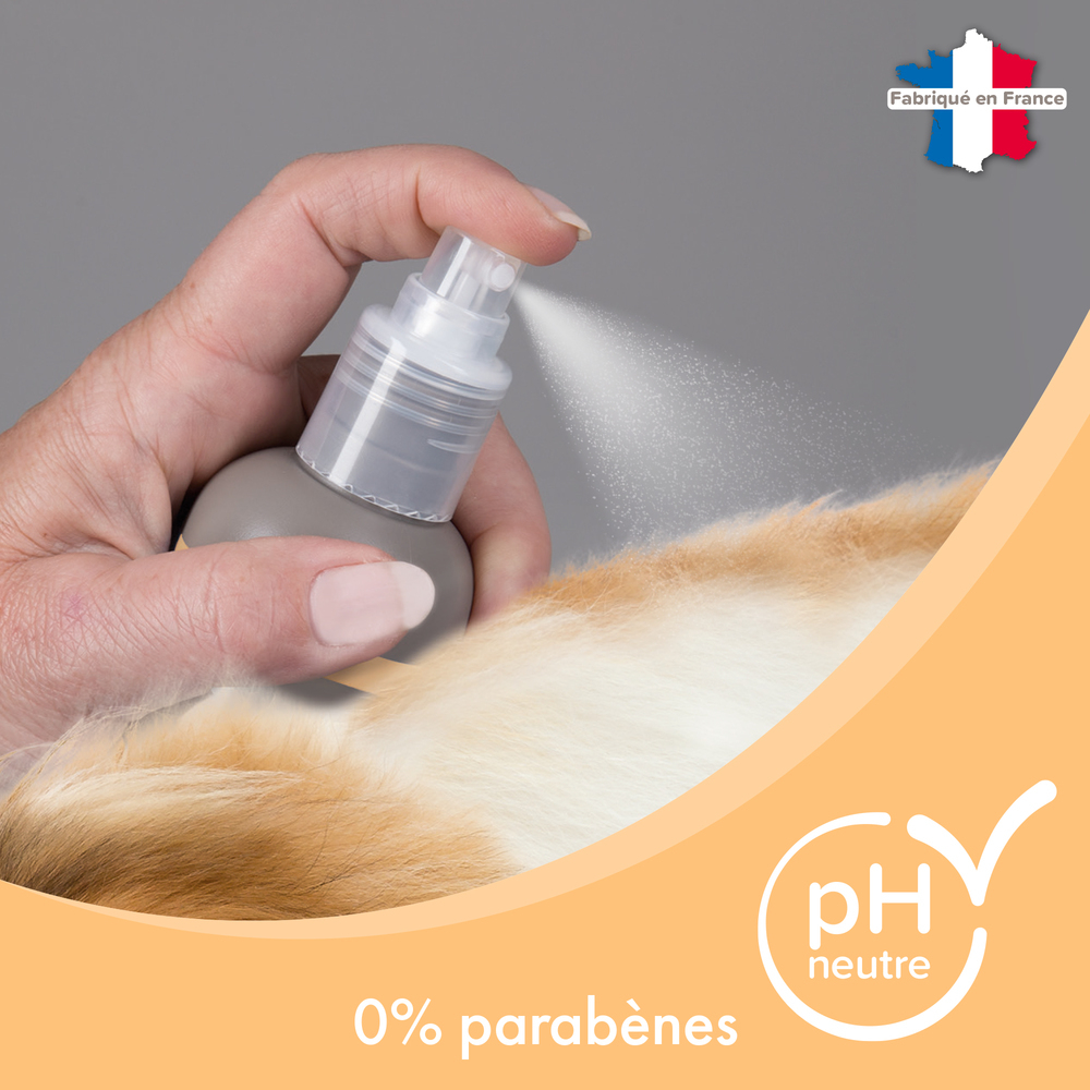 Shampooing Sec premium Empreinte - Extraits naturels d’Aloe Vera et d’eau de framboise - 200 ml