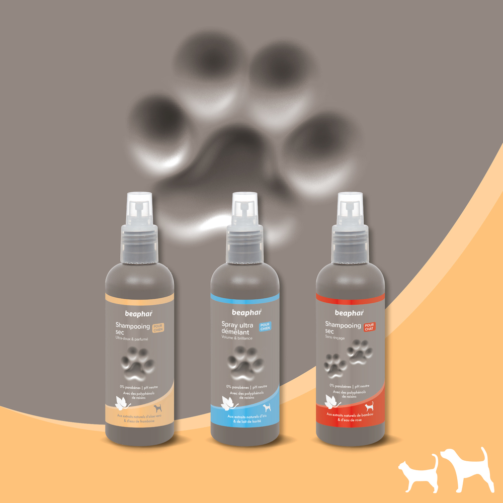 Shampooing Sec premium Empreinte - Extraits naturels d’Aloe Vera et d’eau de framboise - 200 ml