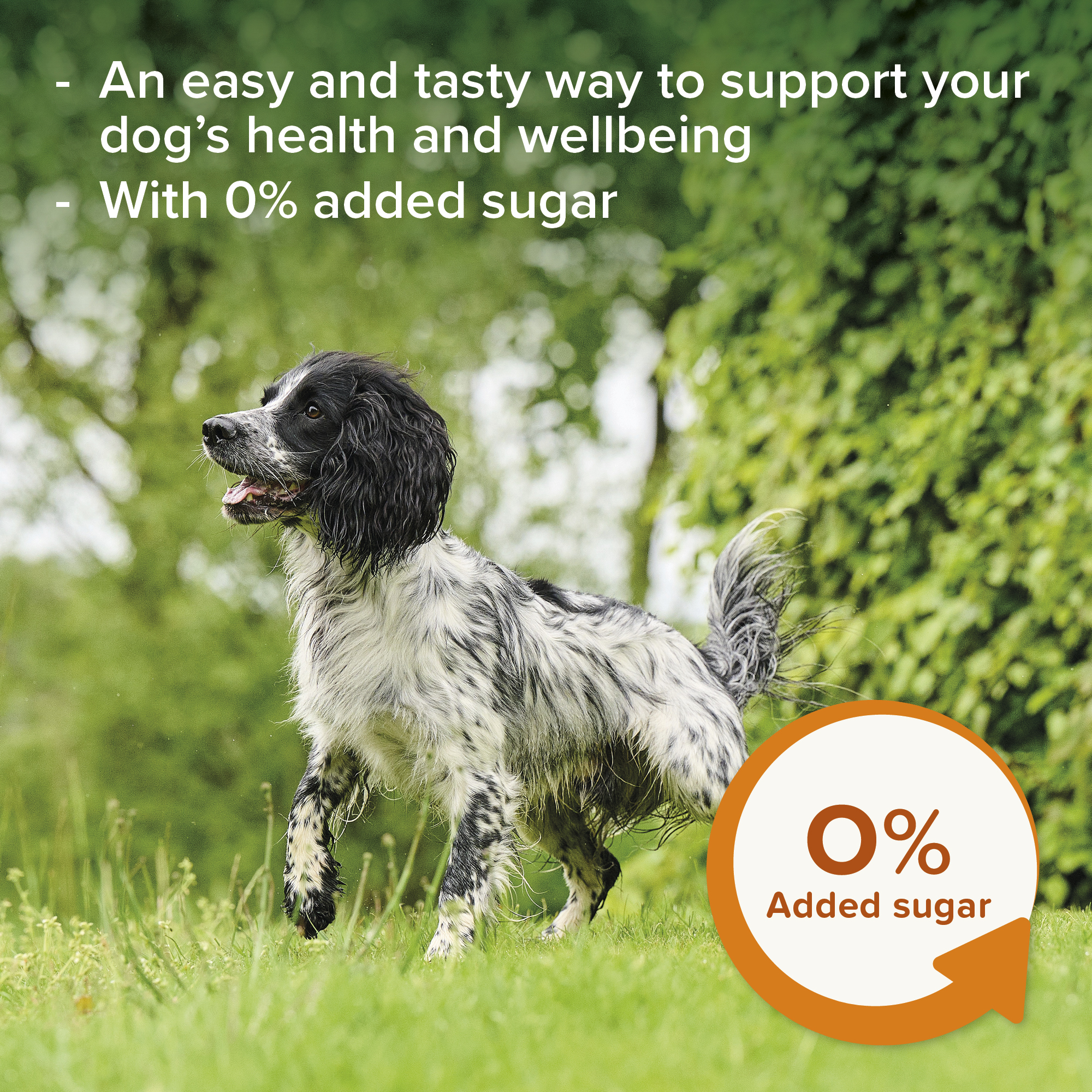 Beaphar Multi-Vitamin Paste for Dogs – 100g