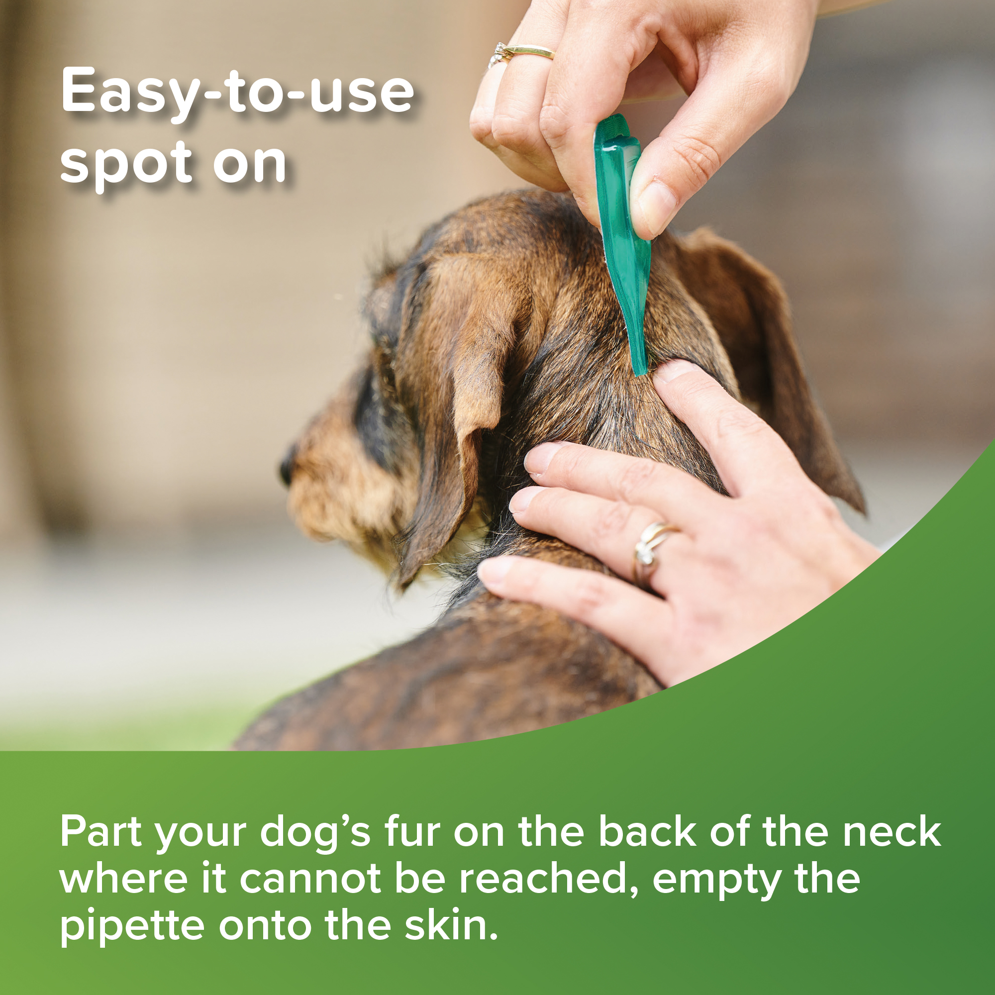 Beaphar VETOpure Plant-Based Protection Flea Spot-On for Dogs under 15 kg | 3 Pipettes