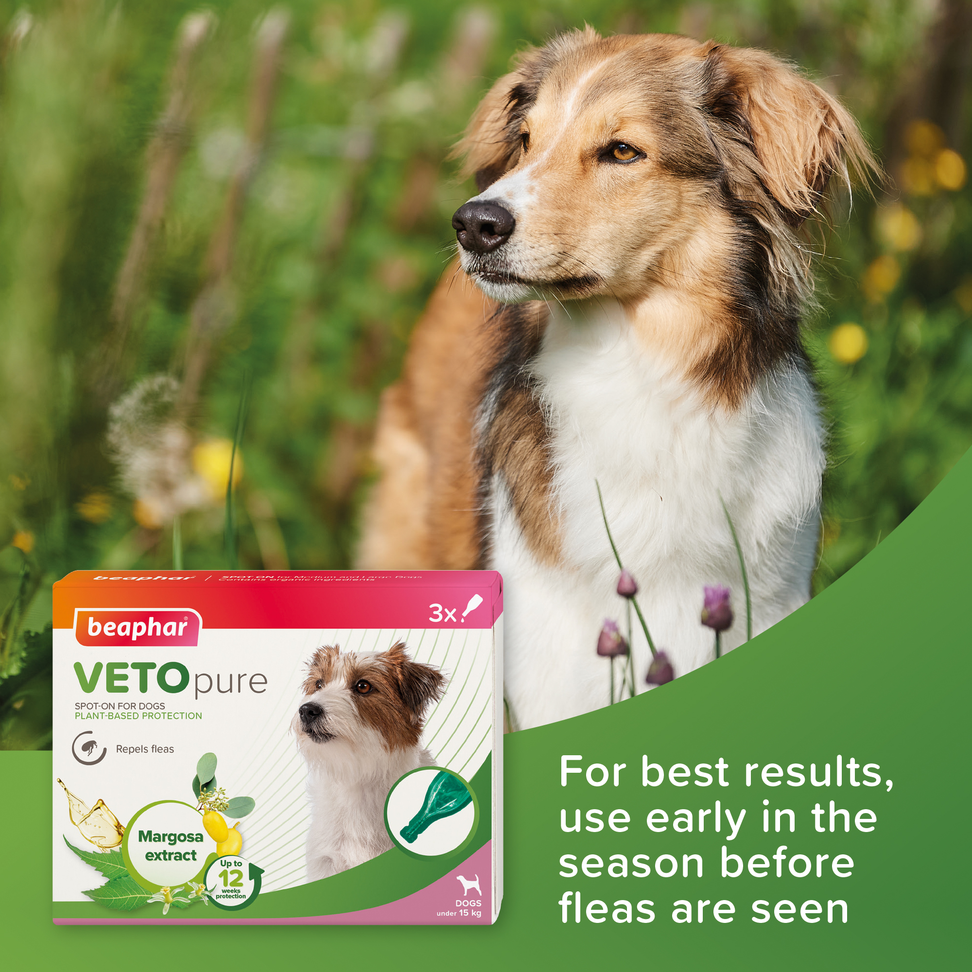 Beaphar VETOpure Plant-Based Protection Flea Spot-On for Dogs under 15 kg | 3 Pipettes