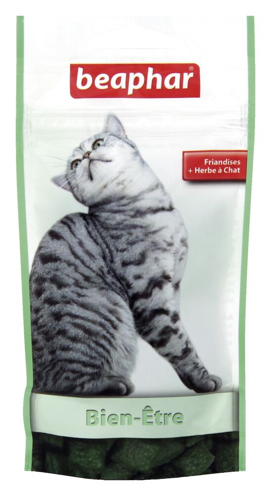 Bien-être, à l’herbe à chat