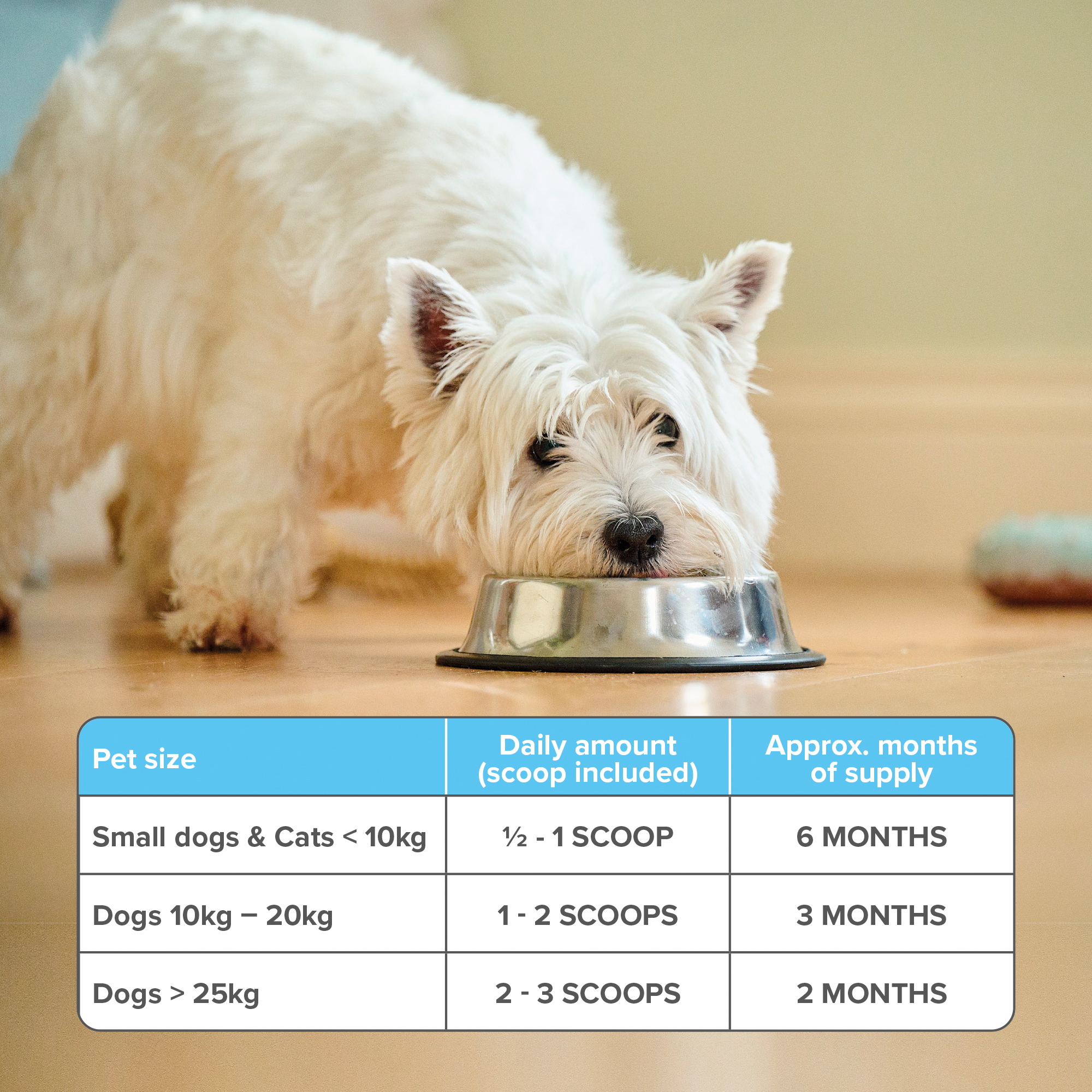 Dental Powder for Dogs and Cats
