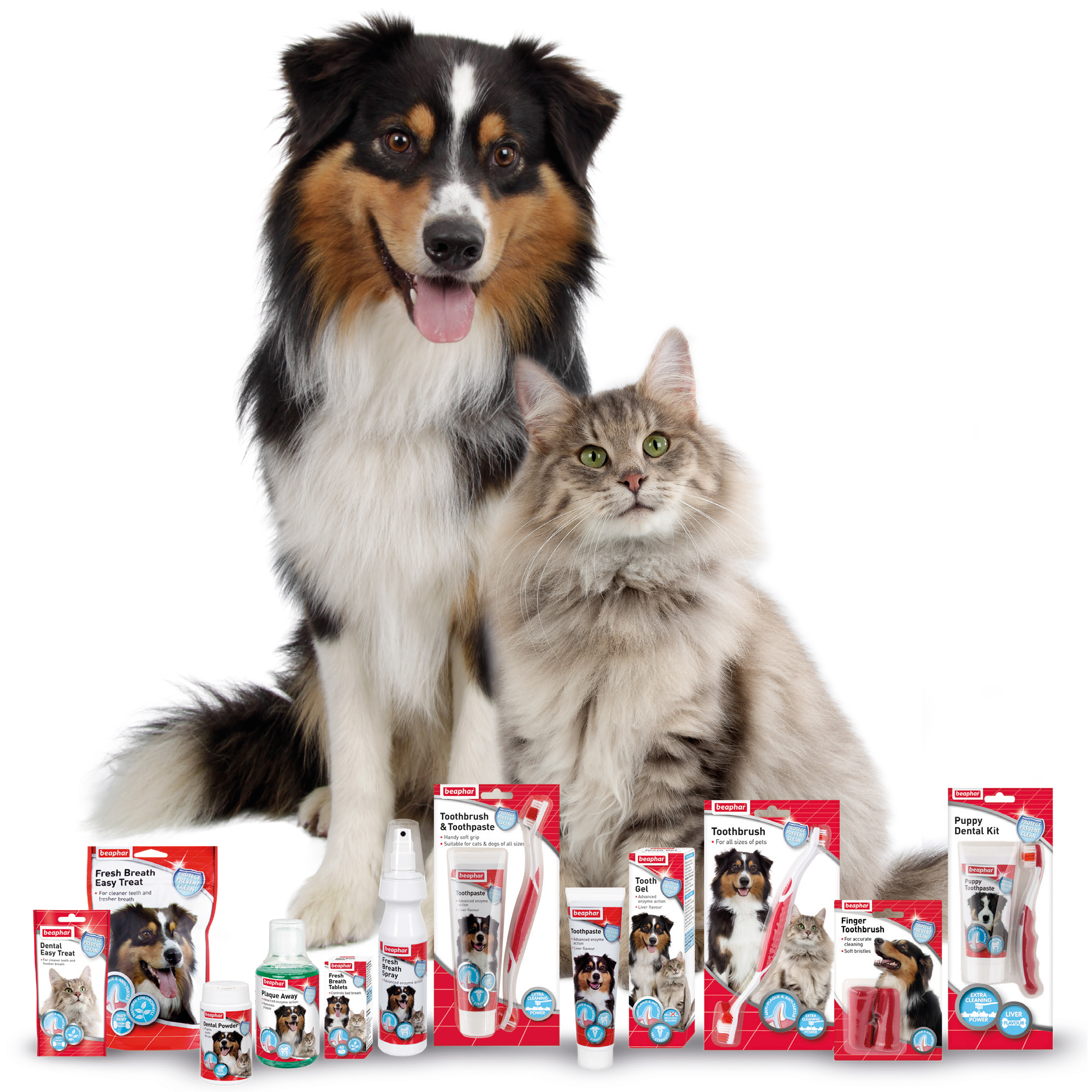 Dental Powder for Dogs and Cats