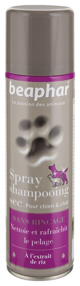 Spray Shampooing Sec premium Empreinte - Sans rinçage, à l’extrait de riz - 250 ml