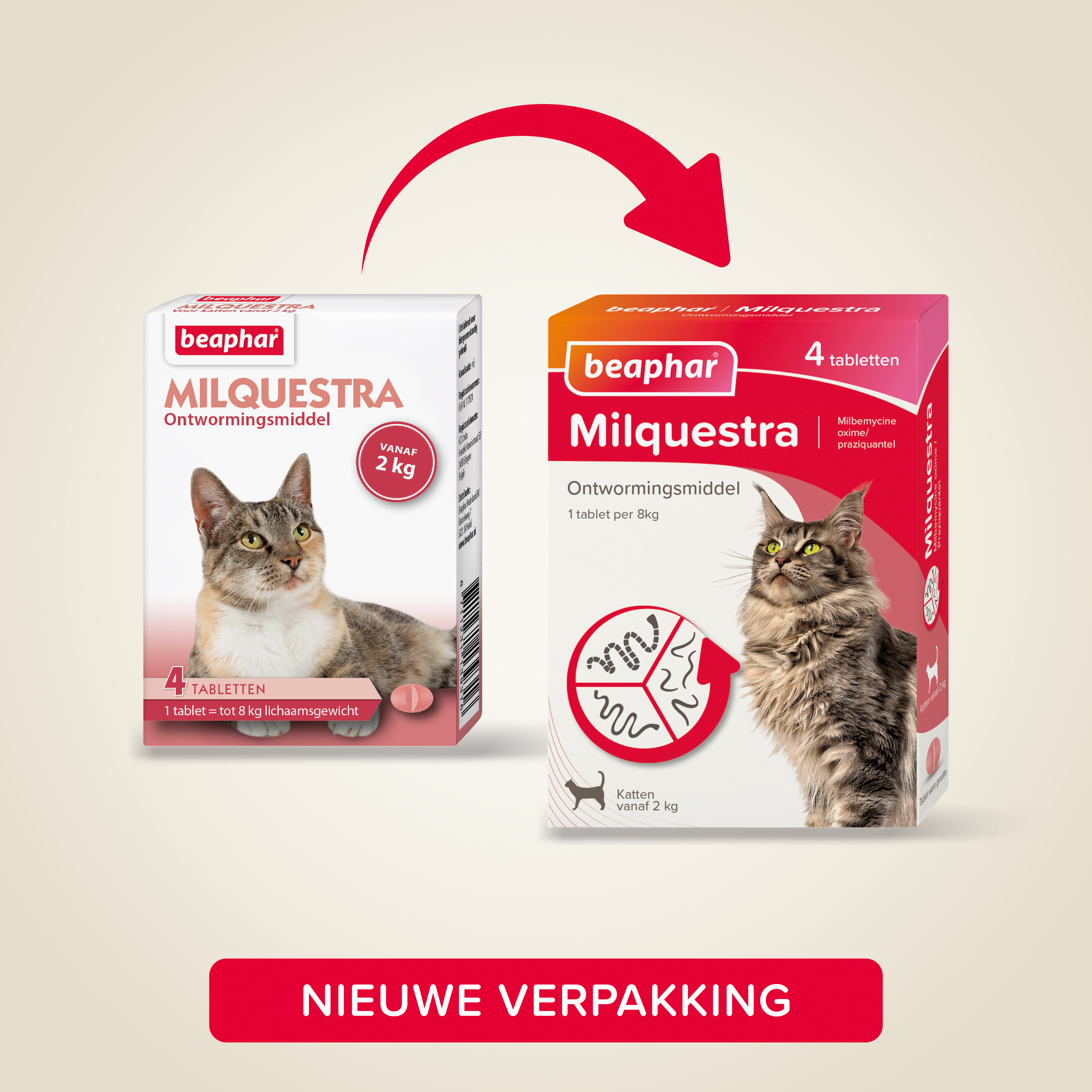 Beaphar Milquestra ontwormingsmiddel kat 4 tabletten