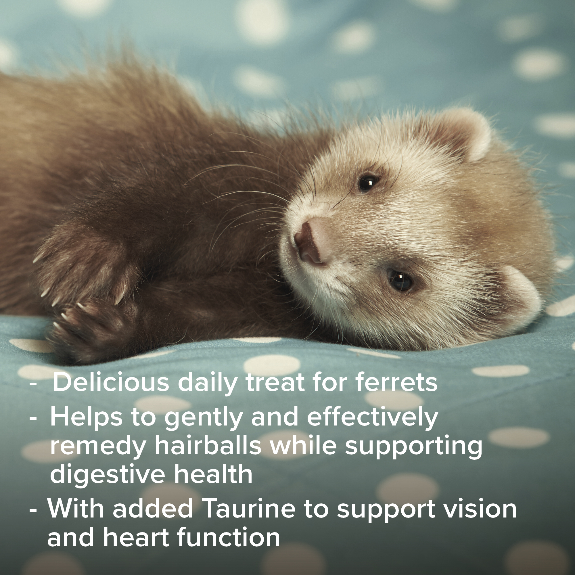 Multivitamin paszta vadászgörényeknek malátával