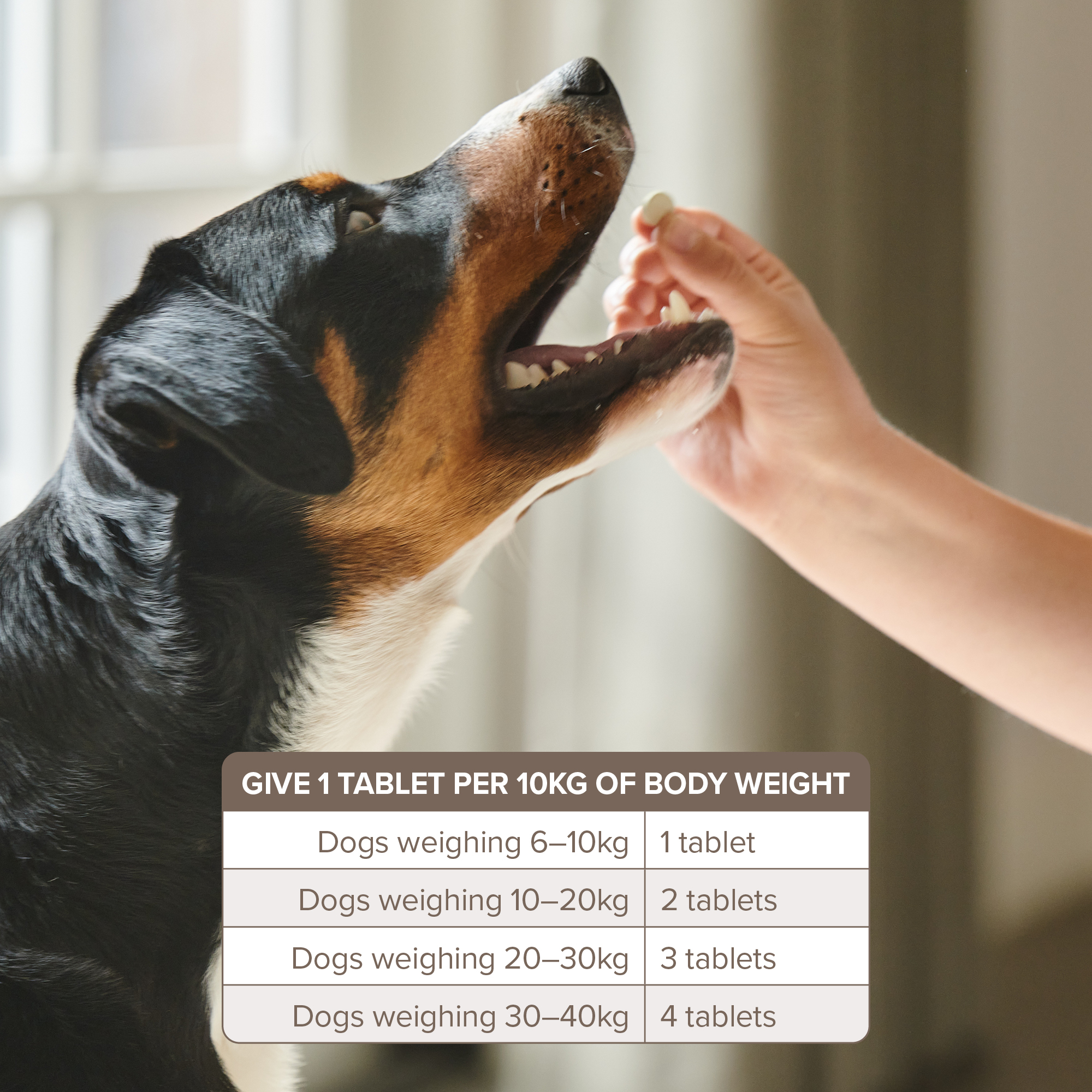 Beaphar One Dose Worming Tablets (For Large Dogs 6-40kg), 4 tablets