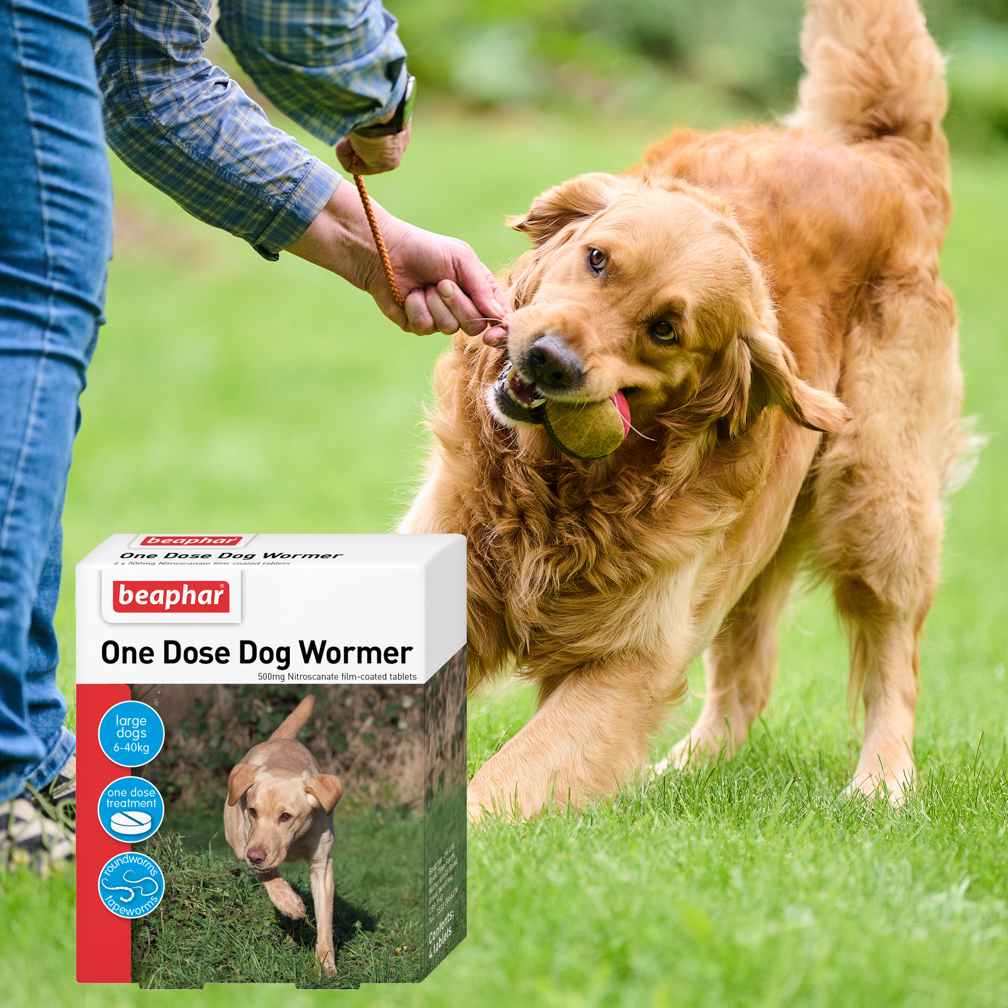 Beaphar One Dose Worming Tablets (For Large Dogs 6-40kg), 4 tablets