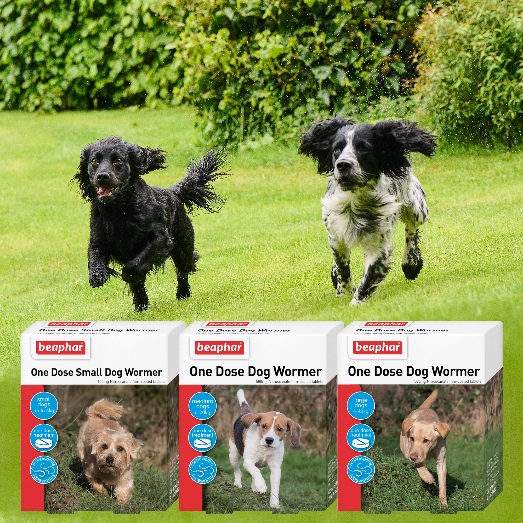 Beaphar One Dose Worming Tablets (For Large Dogs 6-40kg), 4 tablets