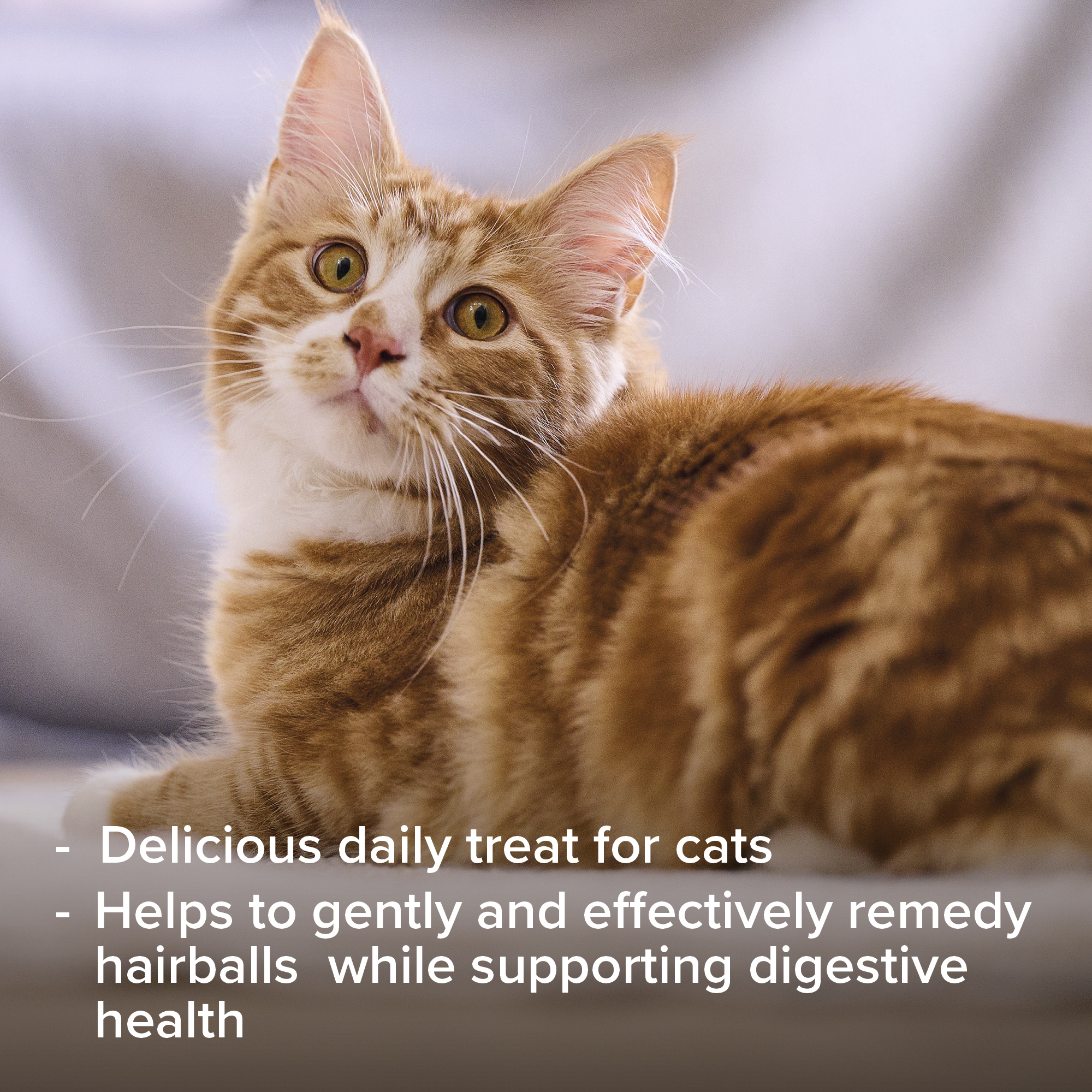 2in1 szőrlabda elleni malátás paszta macskáknak