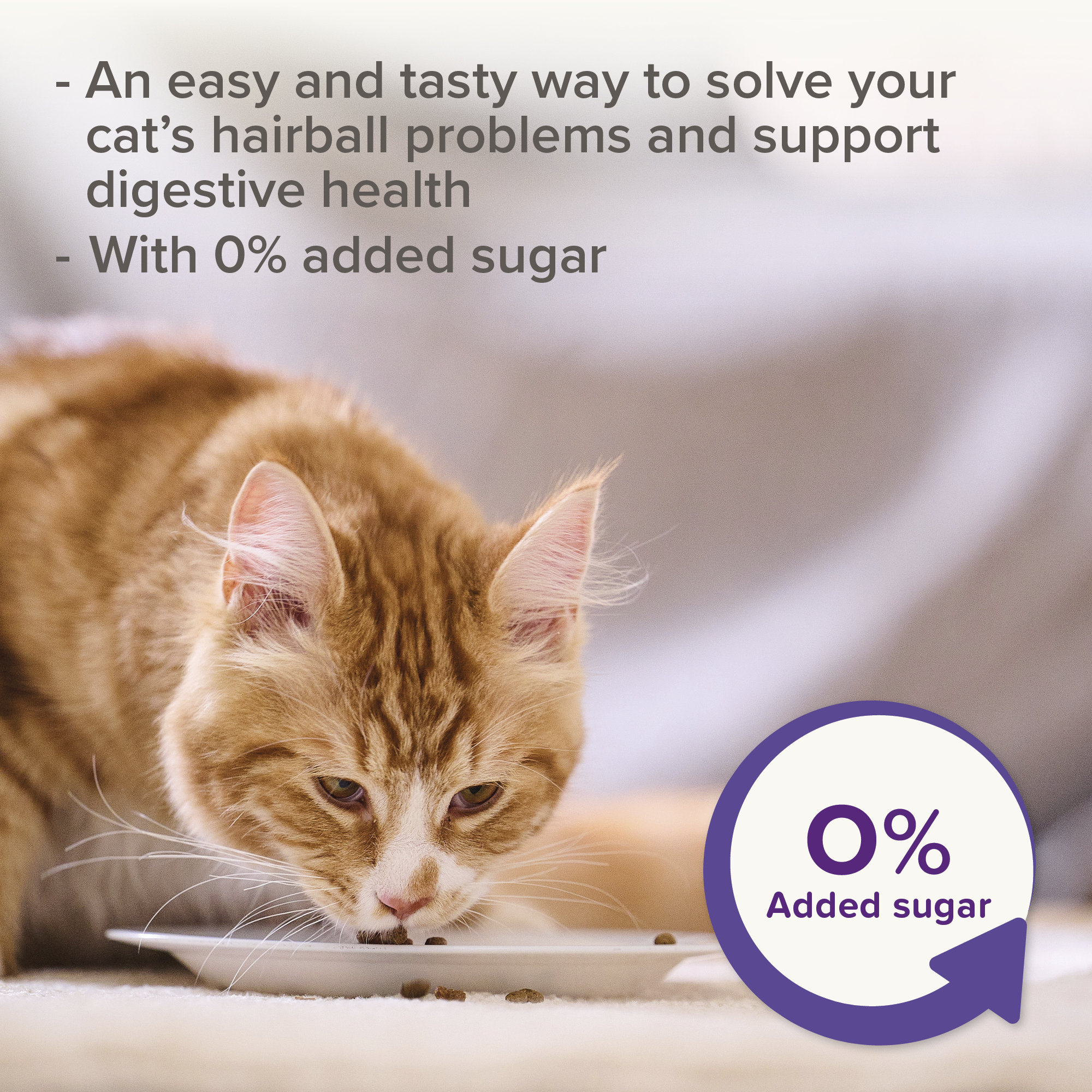 2in1 szőrlabda elleni malátás paszta macskáknak