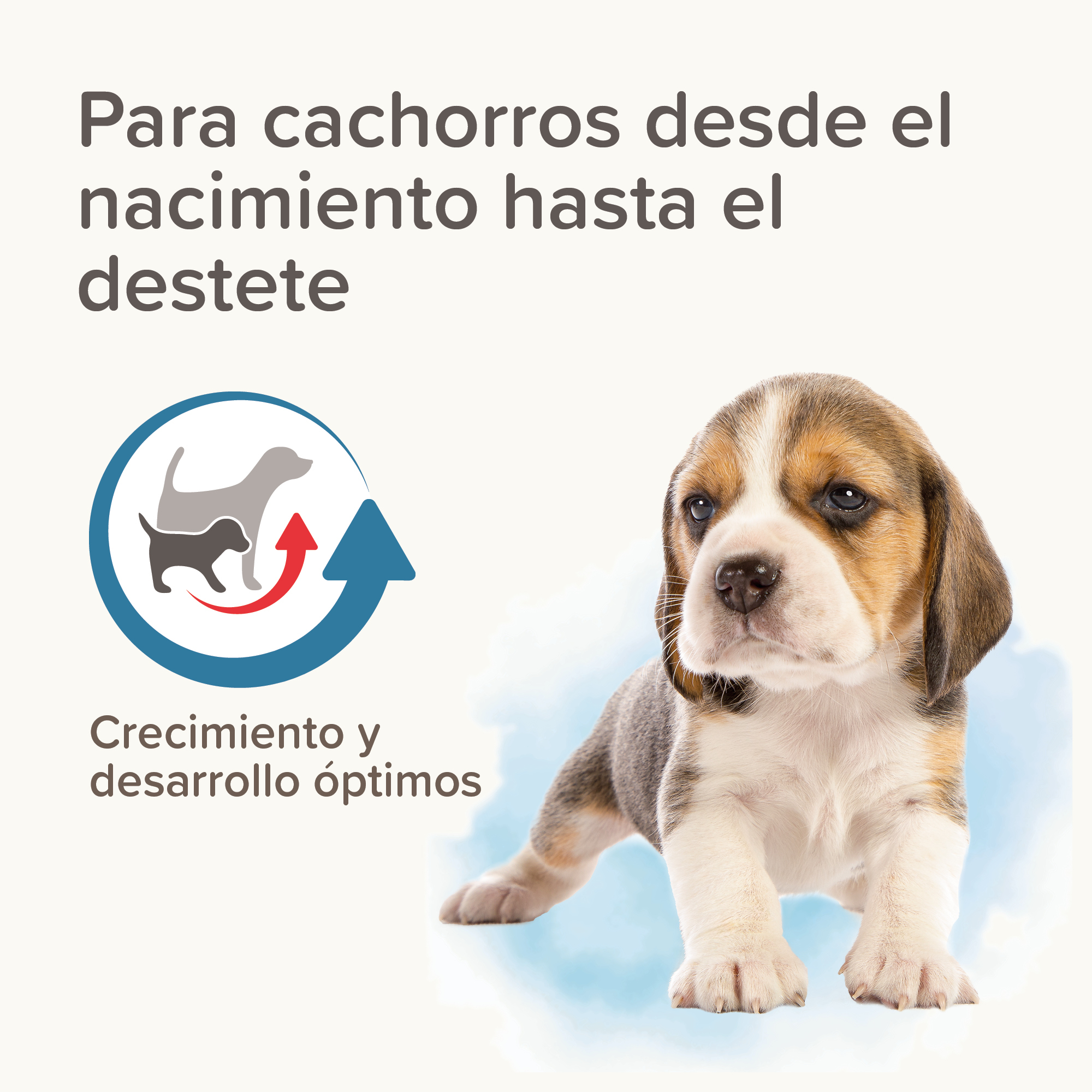 Lactol Puppy Milk Leche En Polvo 250g
