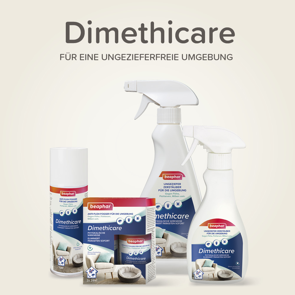 Dimethicare Anti-Floh Fogger, 200ml