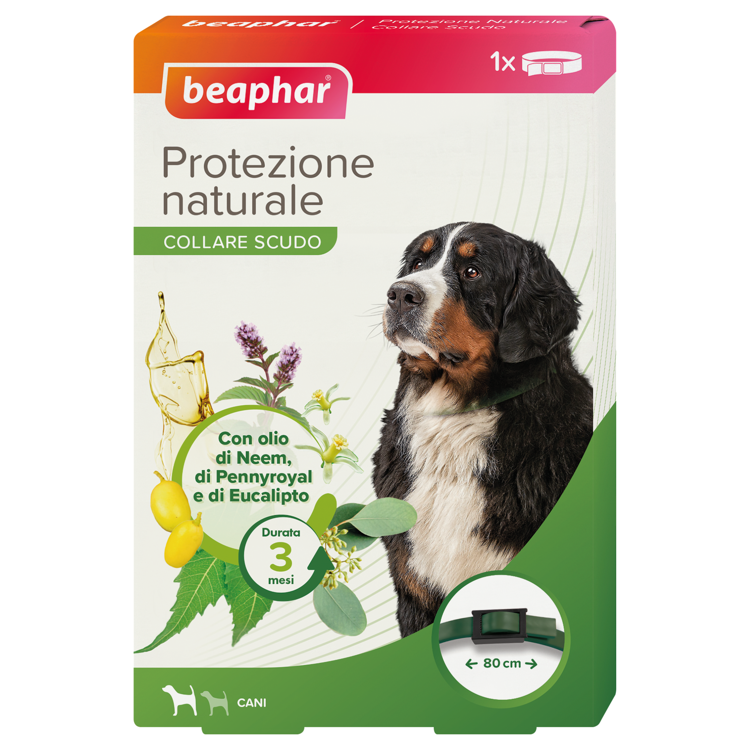 Protezione Naturale Collare Cane