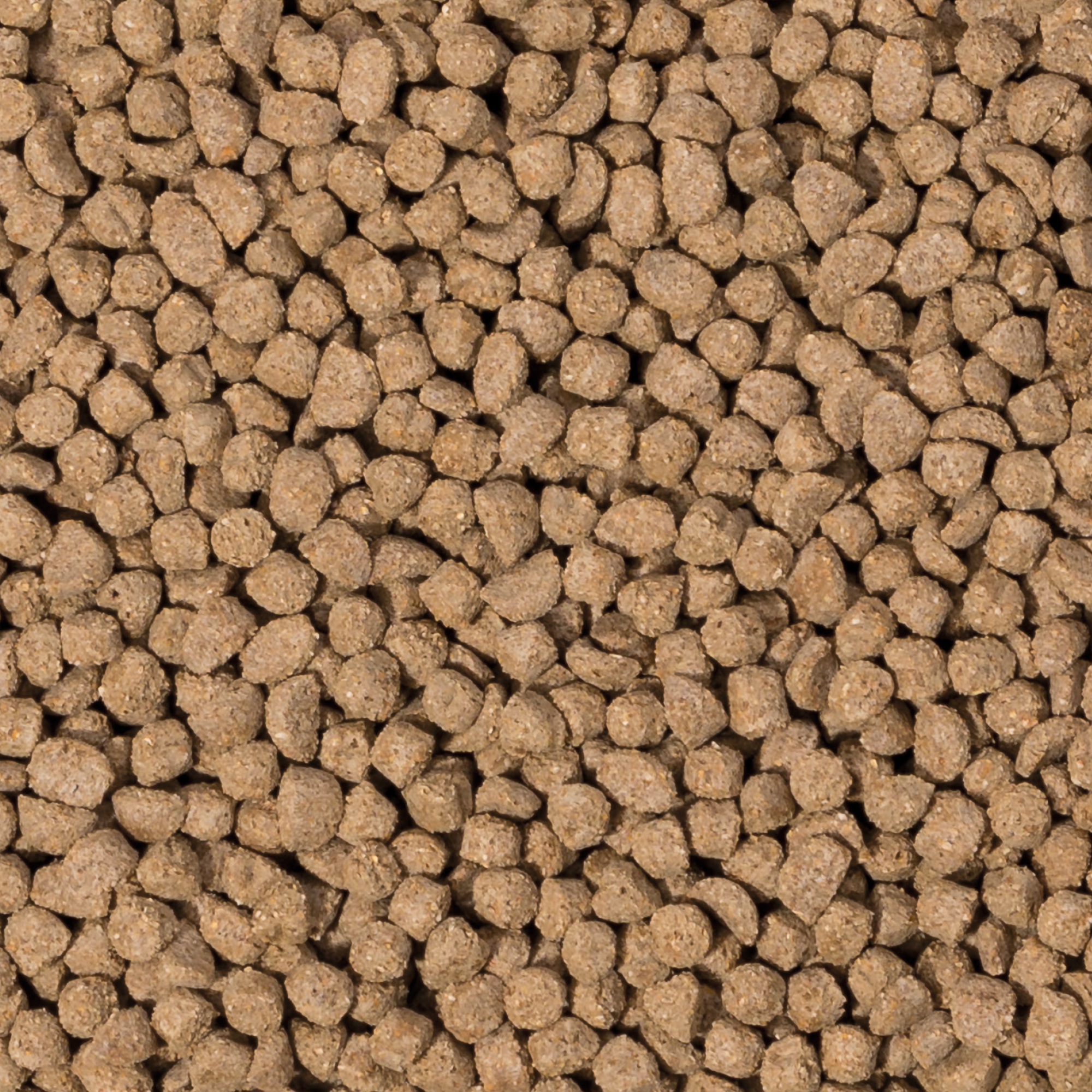 Care+® teljesértékű eledel deguknak, 700g