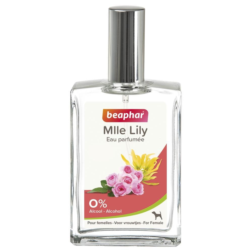 Eau Parfumée Mlle Lily pour femelle - 50 ml