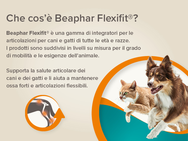 Beaphar Flexifit Treats Cane 30pz