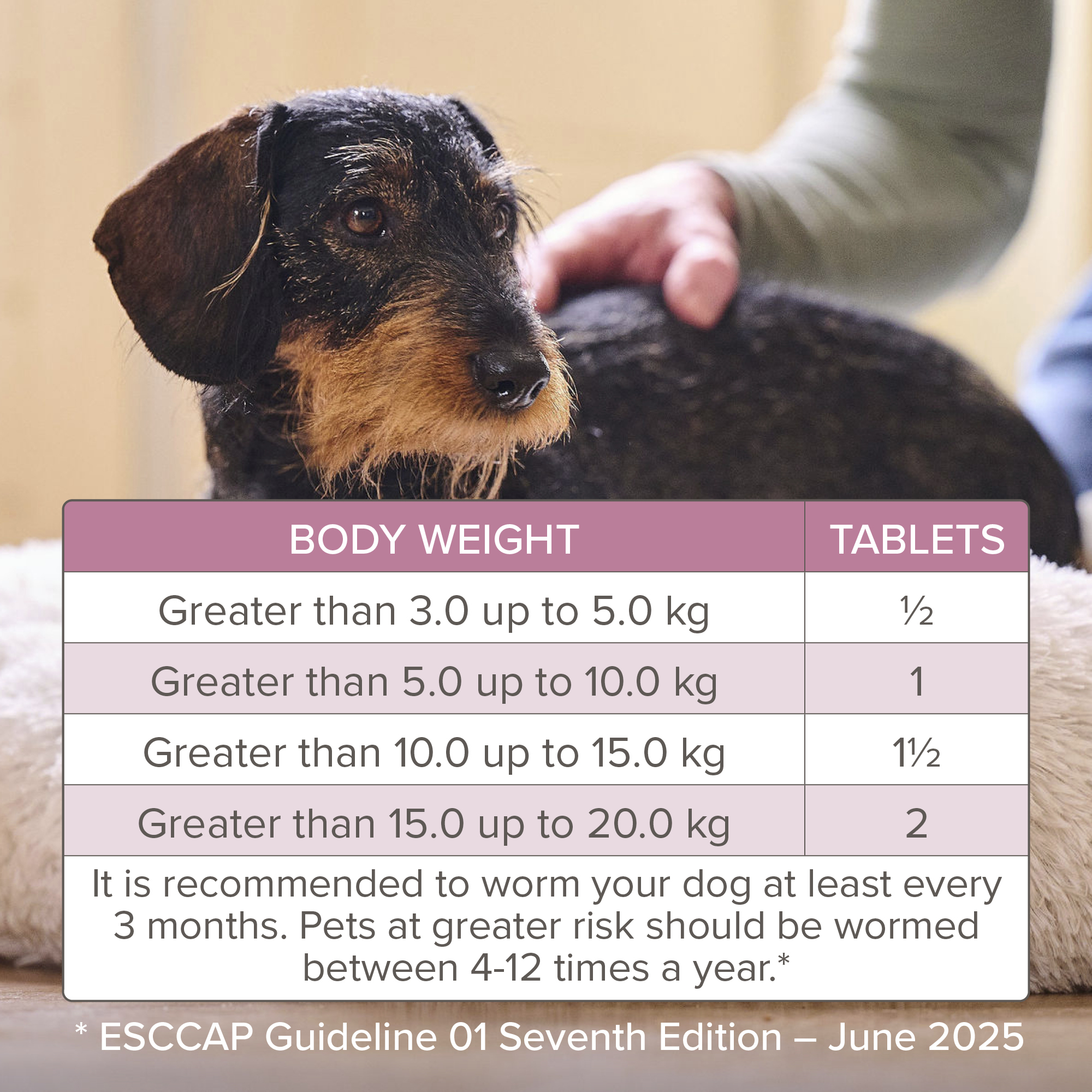 Beaphar WORMclear® Worming Tablets for Dogs (up to 20kg) – 2 Tablets