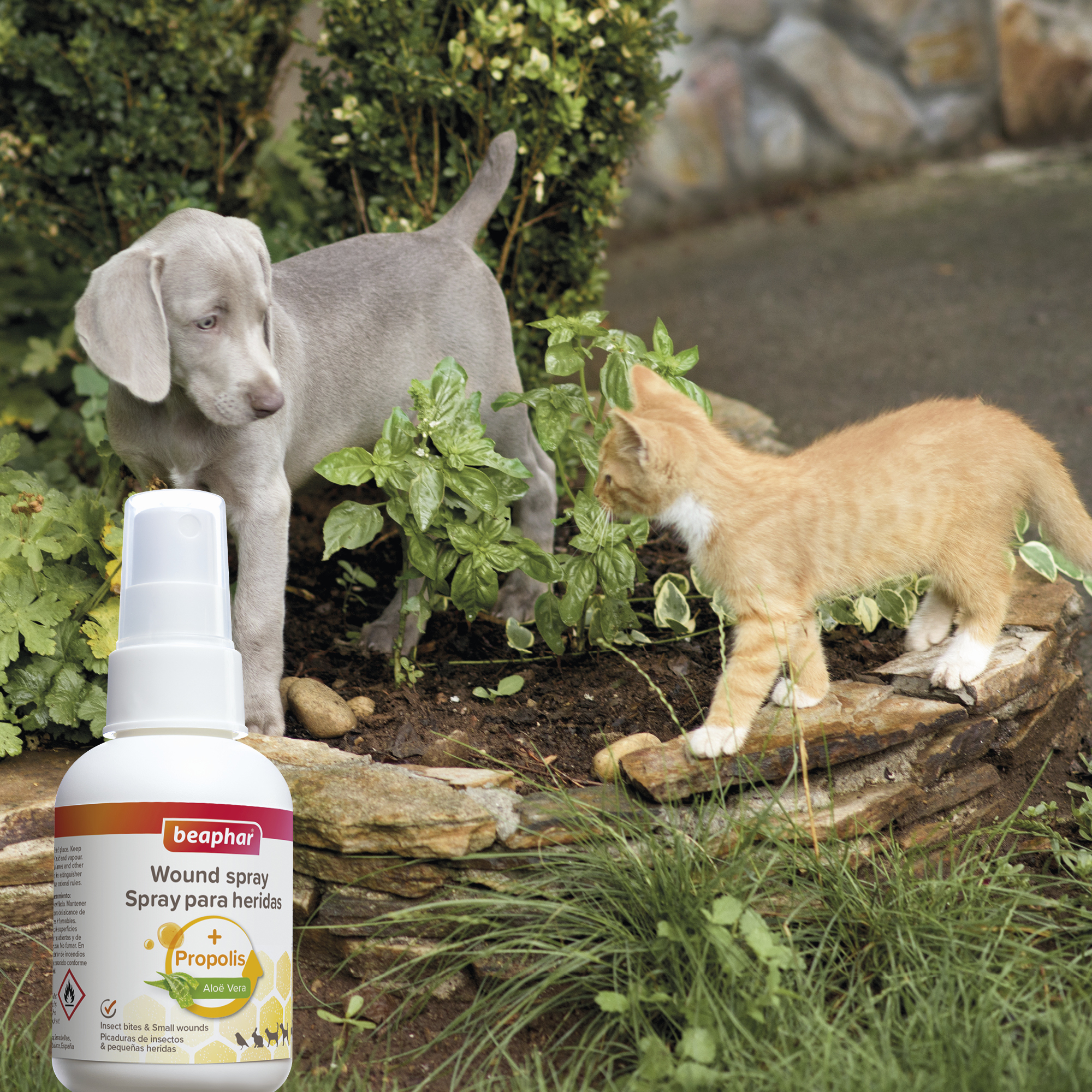 Beaphar Wound Spray Dogs, Cats, Birds and Small Animals 75ml