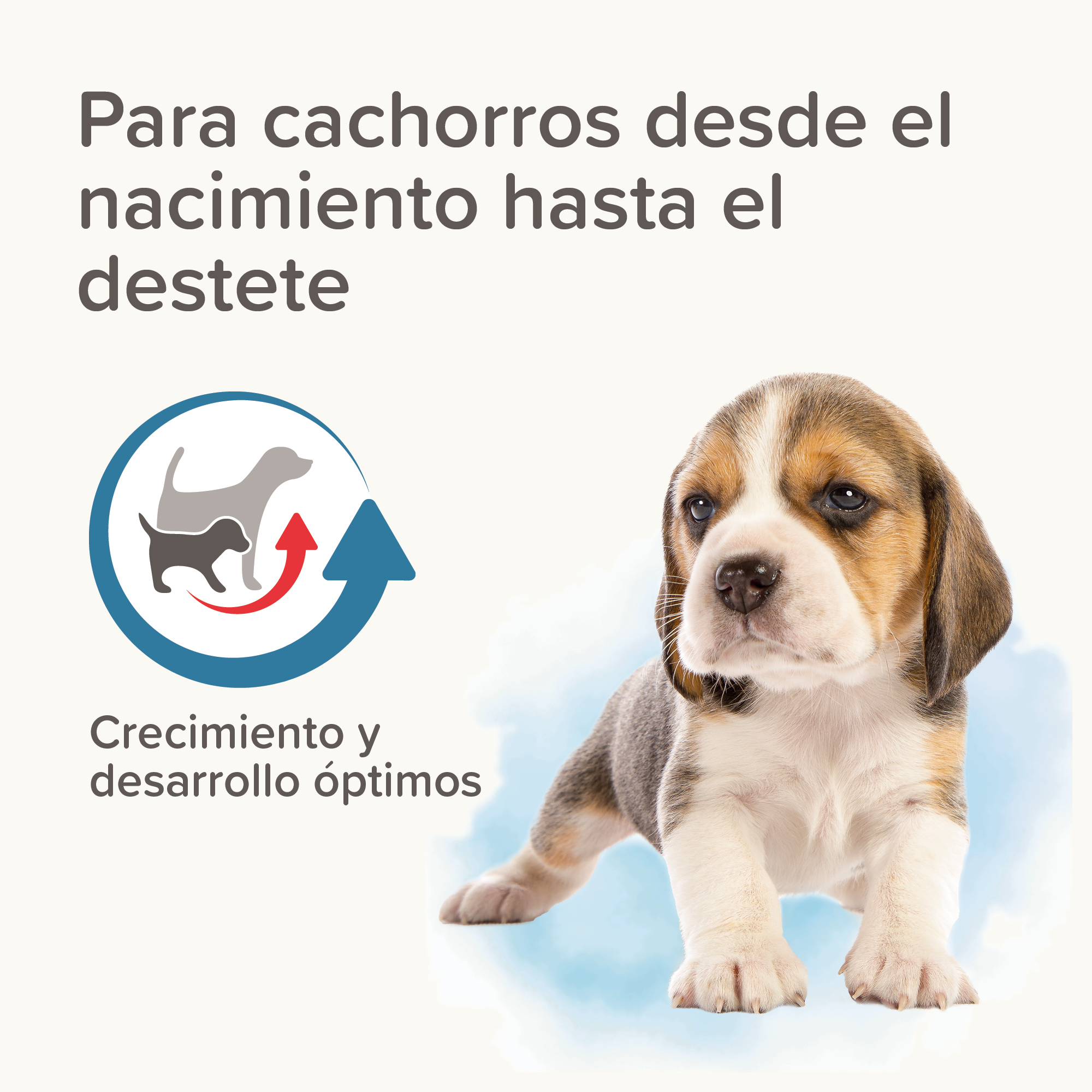 Beaphar Lactol - Leche de  sustitución Cachorros - 500g
