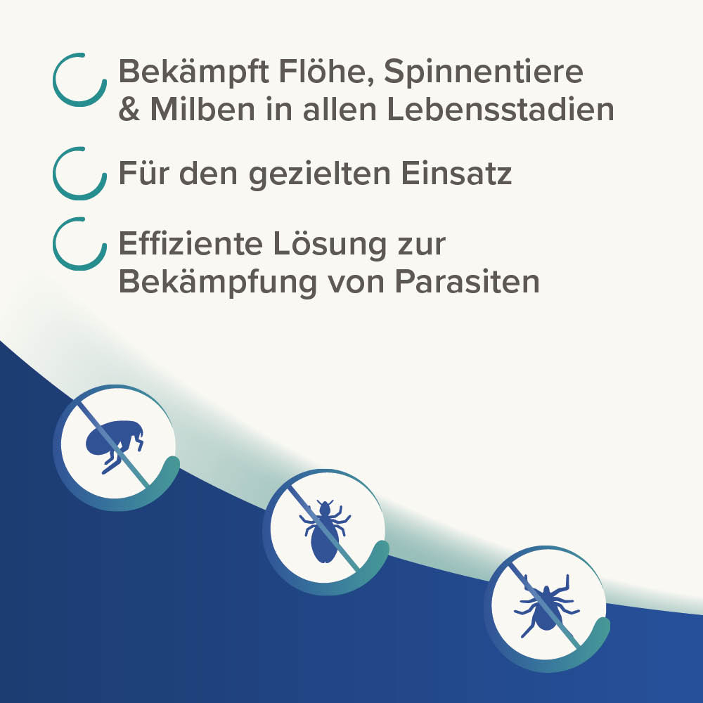 Dimethicare Anti-Floh Fogger, 200ml