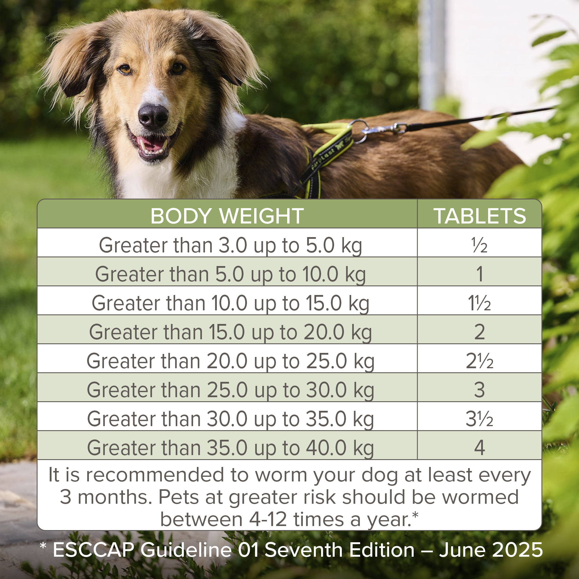 Beaphar WORMclear® Worming Tablets for Dogs (up to 40kg) – 4 Tablets
