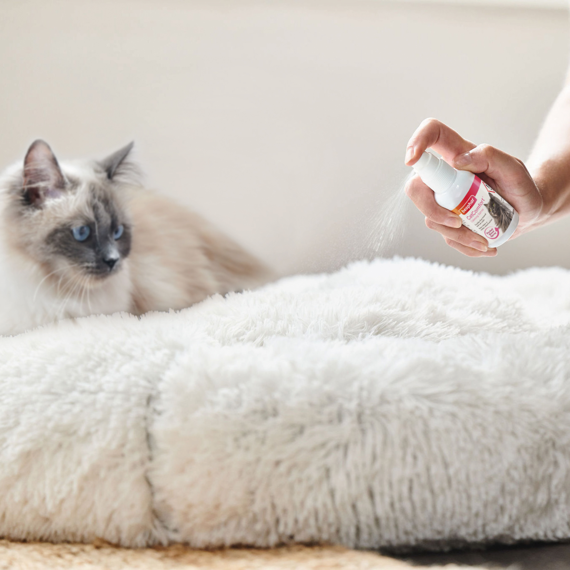 Beaphar CatComfort® Calming Spray