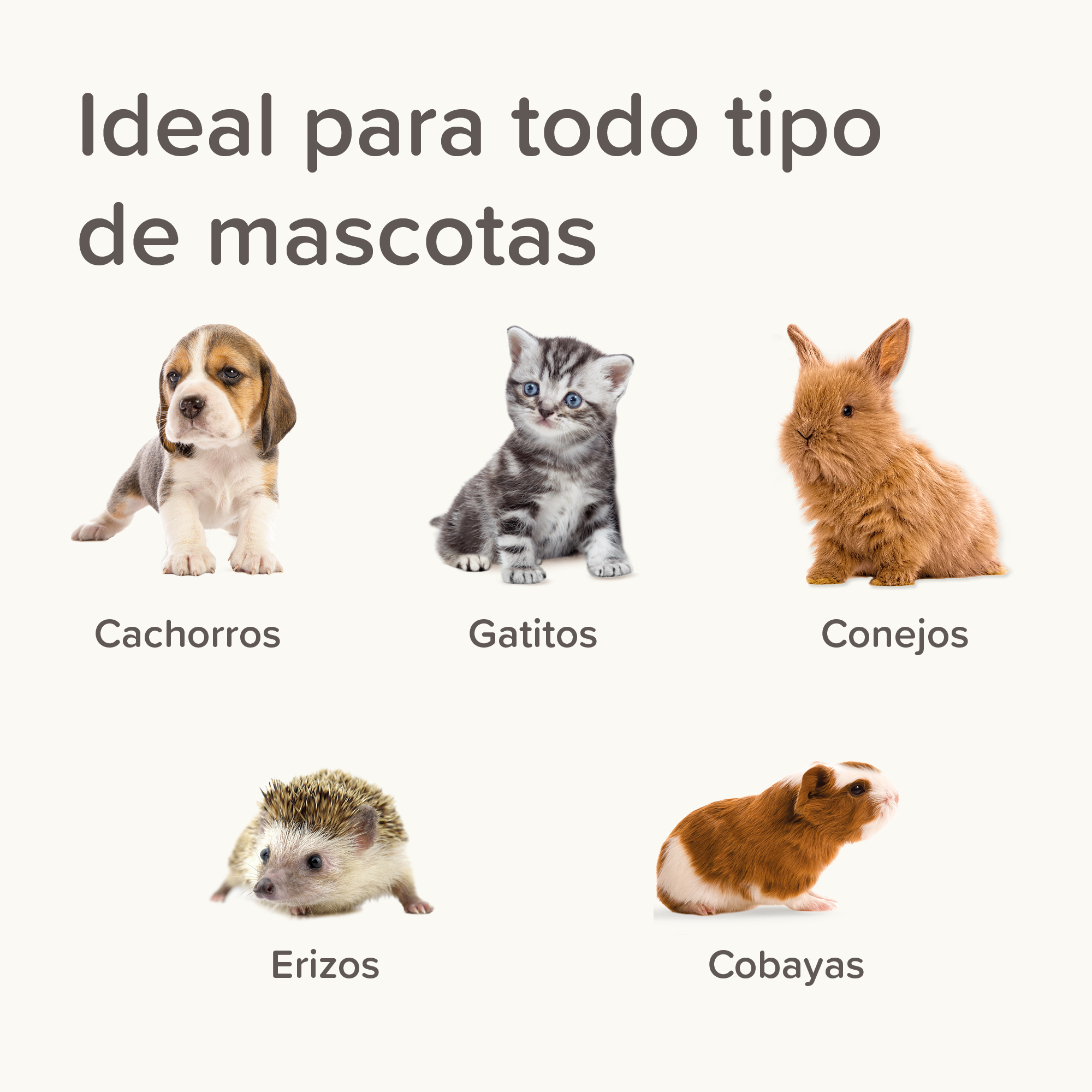 Kit Biberon et Tétines