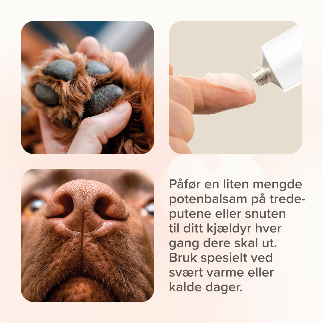Beaphar Potesalve
