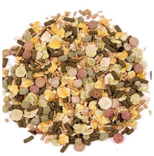 Beaphar Xtravital Pienso Cobaya - 1kg