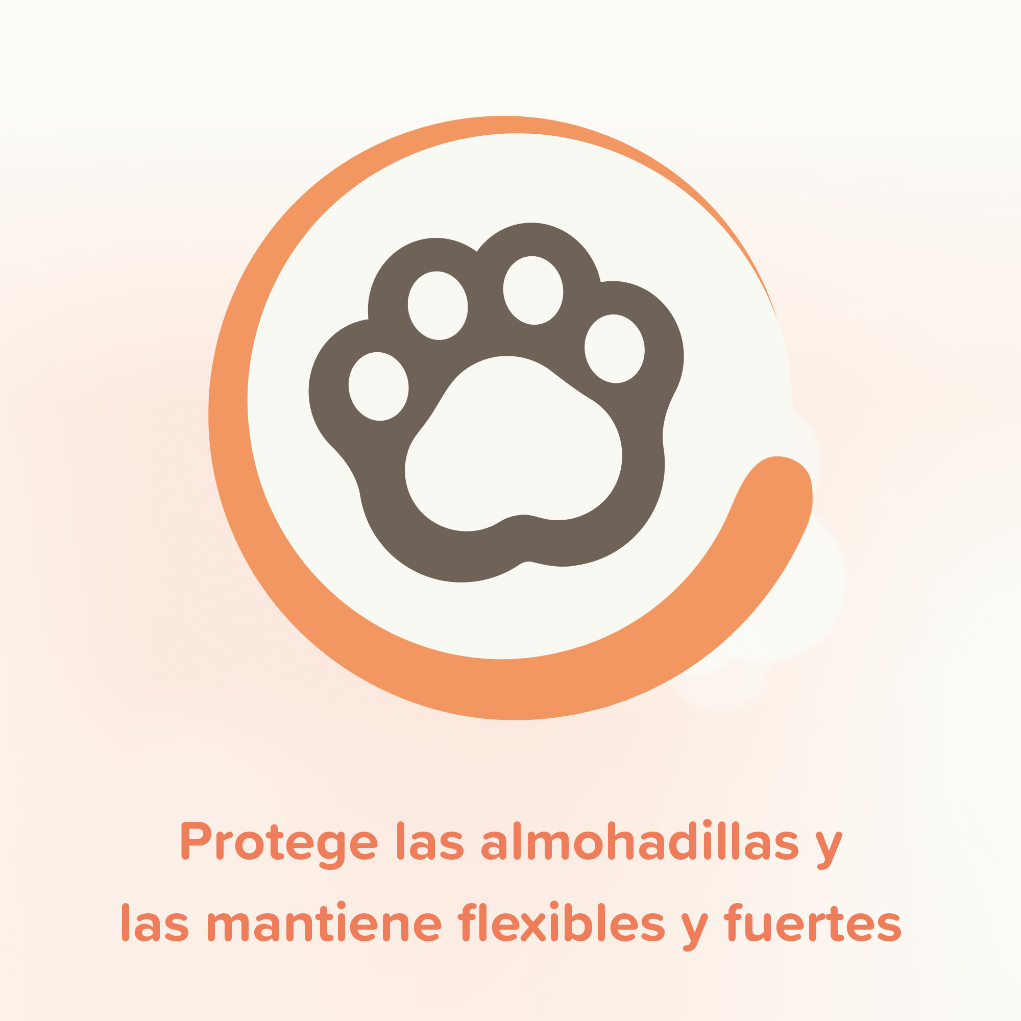 Spray Protector Almohadillas 150ml
