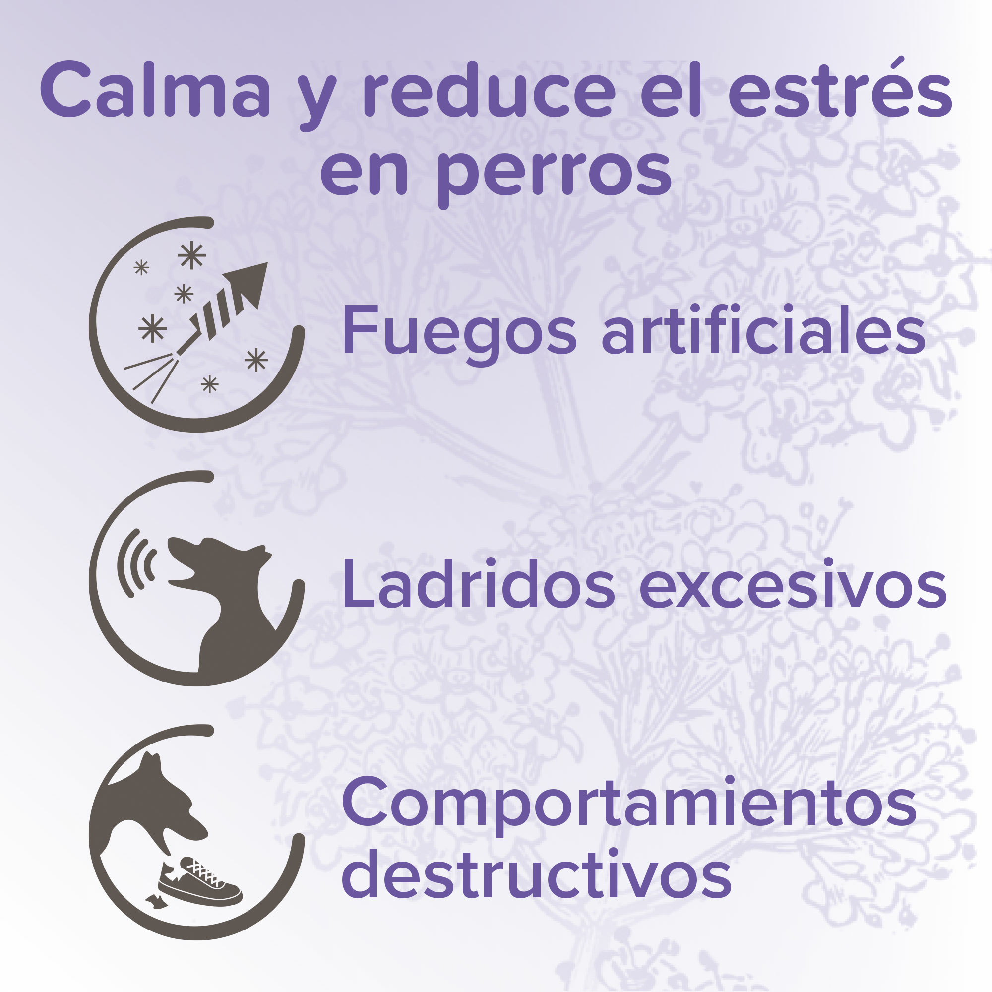 Beaphar Calming Spot On - Pipetas Calmantes para Perro - 3 x 0.7ml