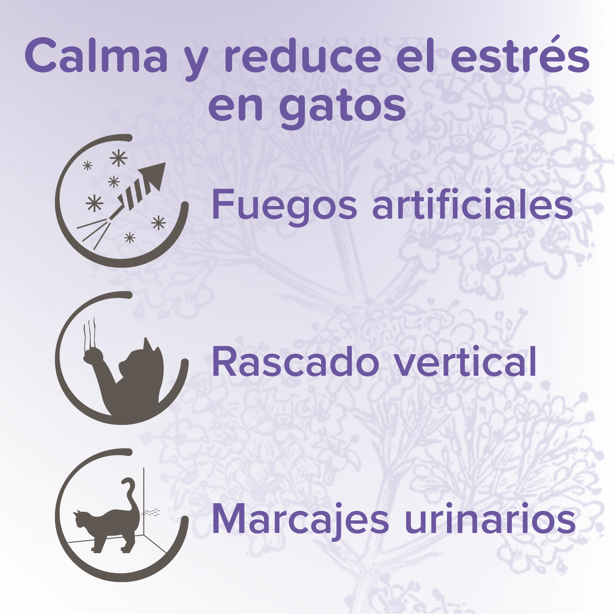 Beaphar Calming Spot On Pipetas Calmantes para Gato - 3 x 0.4ml
