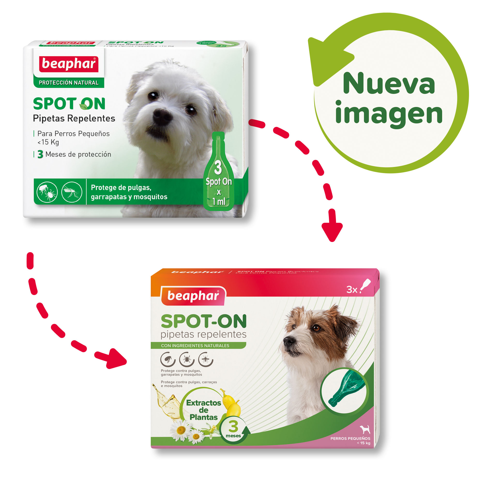 Beaphar Pipetas Repelentes Perro Pequeño - 3 x 1ml
