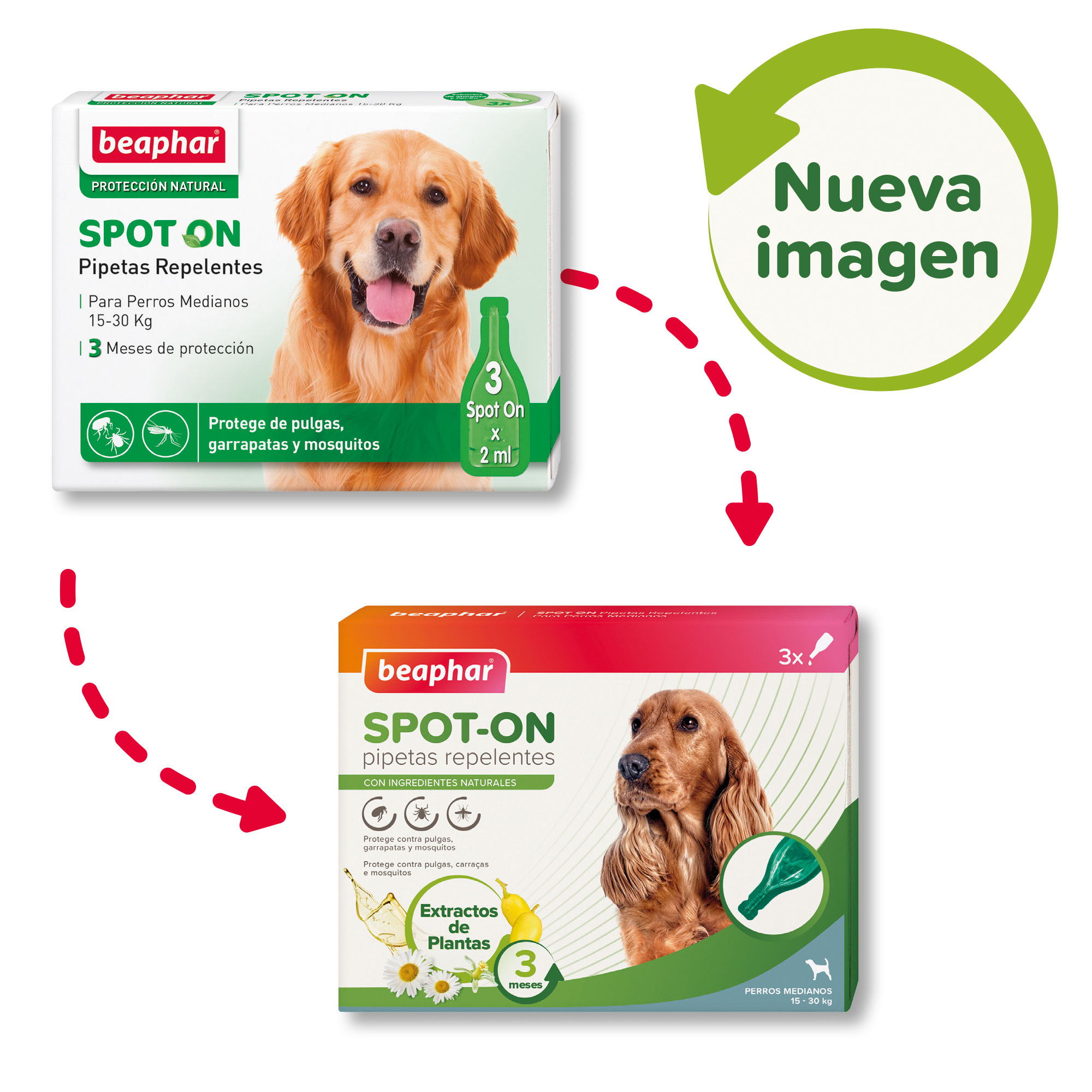Beaphar Pipetas Repelentes Perro Mediano - 3 x 2ml