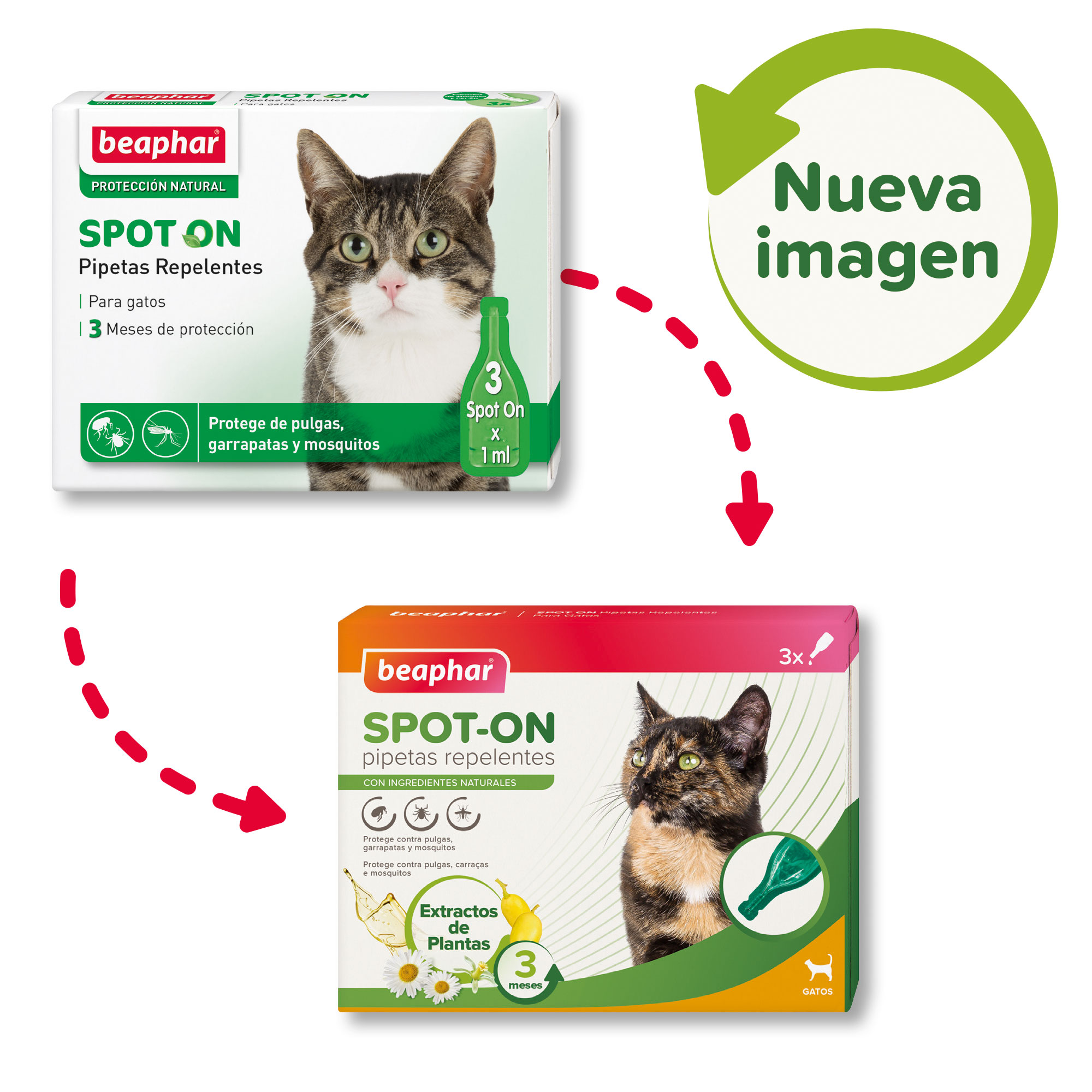 Beaphar Pipetas Repelentes Gato - 3 x 1ml