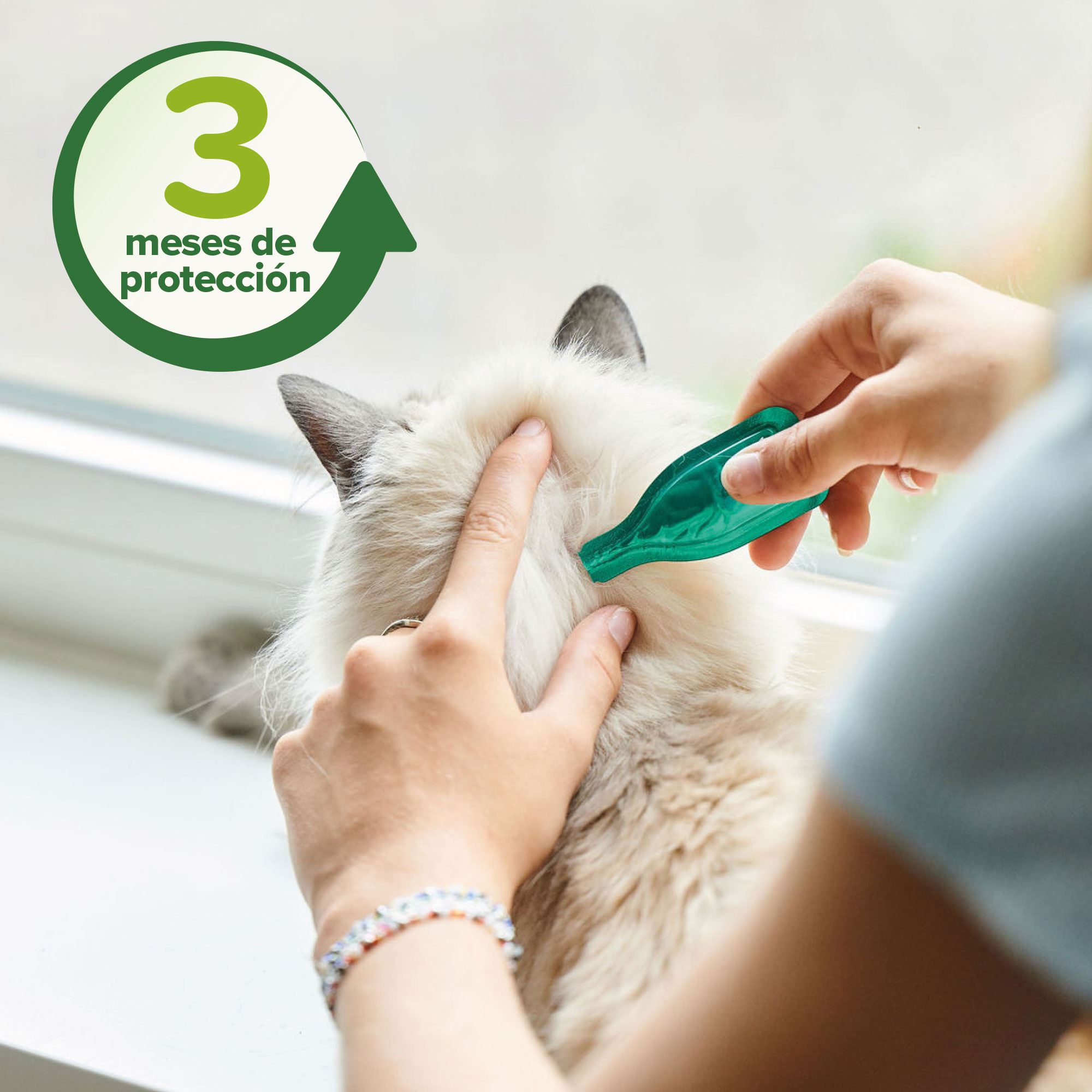 Beaphar Pipetas Repelentes Gato - 3 x 1ml