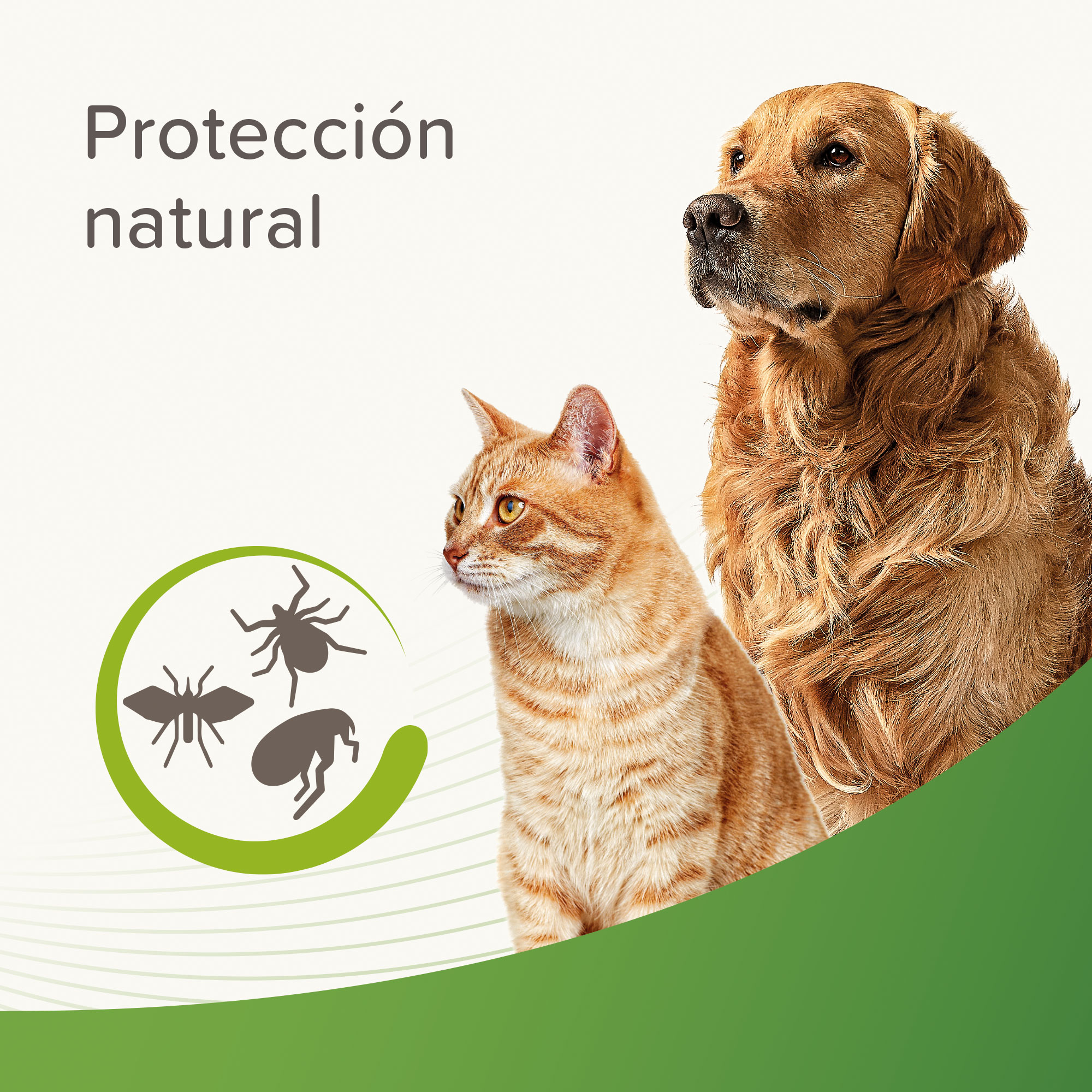 Beaphar Champú Repelente Perro y Gato - 250ml
