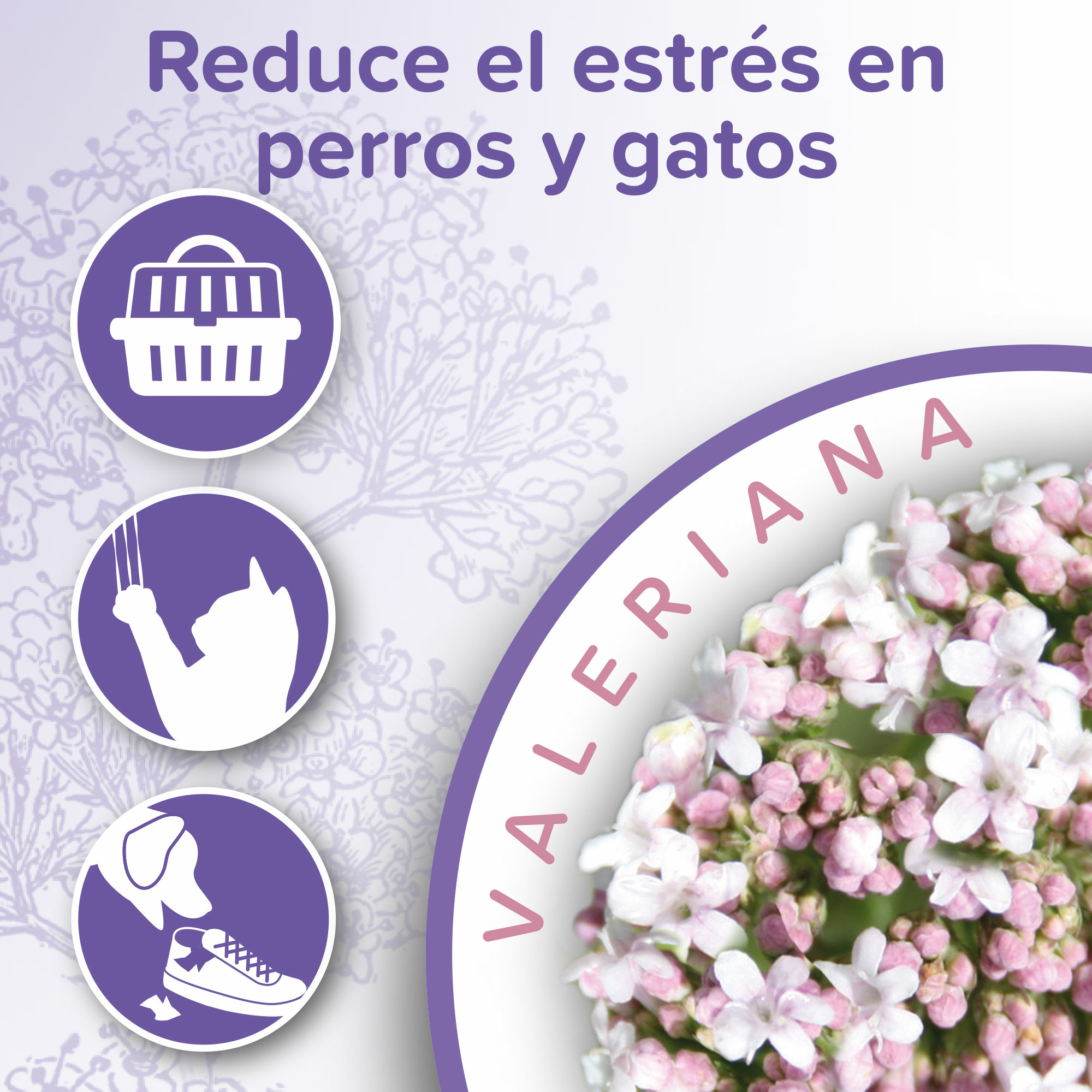 Beaphar Calming Spray Ambiente Perro y Gato - 125 ml