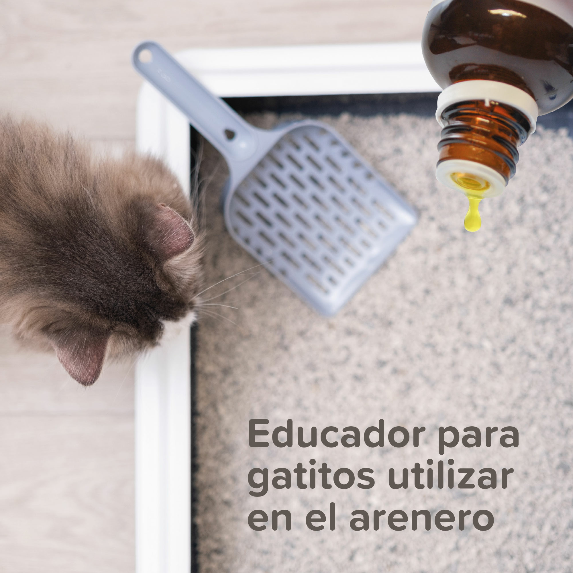 Beaphar Cat Trainer - Educador para Gatos - 10ml