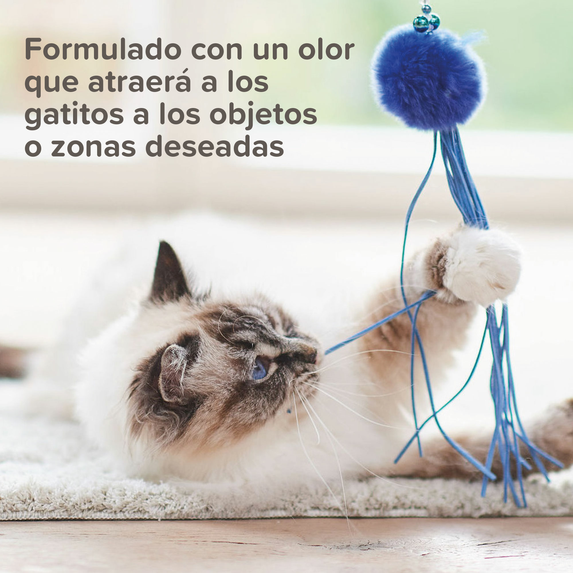 Beaphar Cat Trainer - Educador para Gatos - 10ml