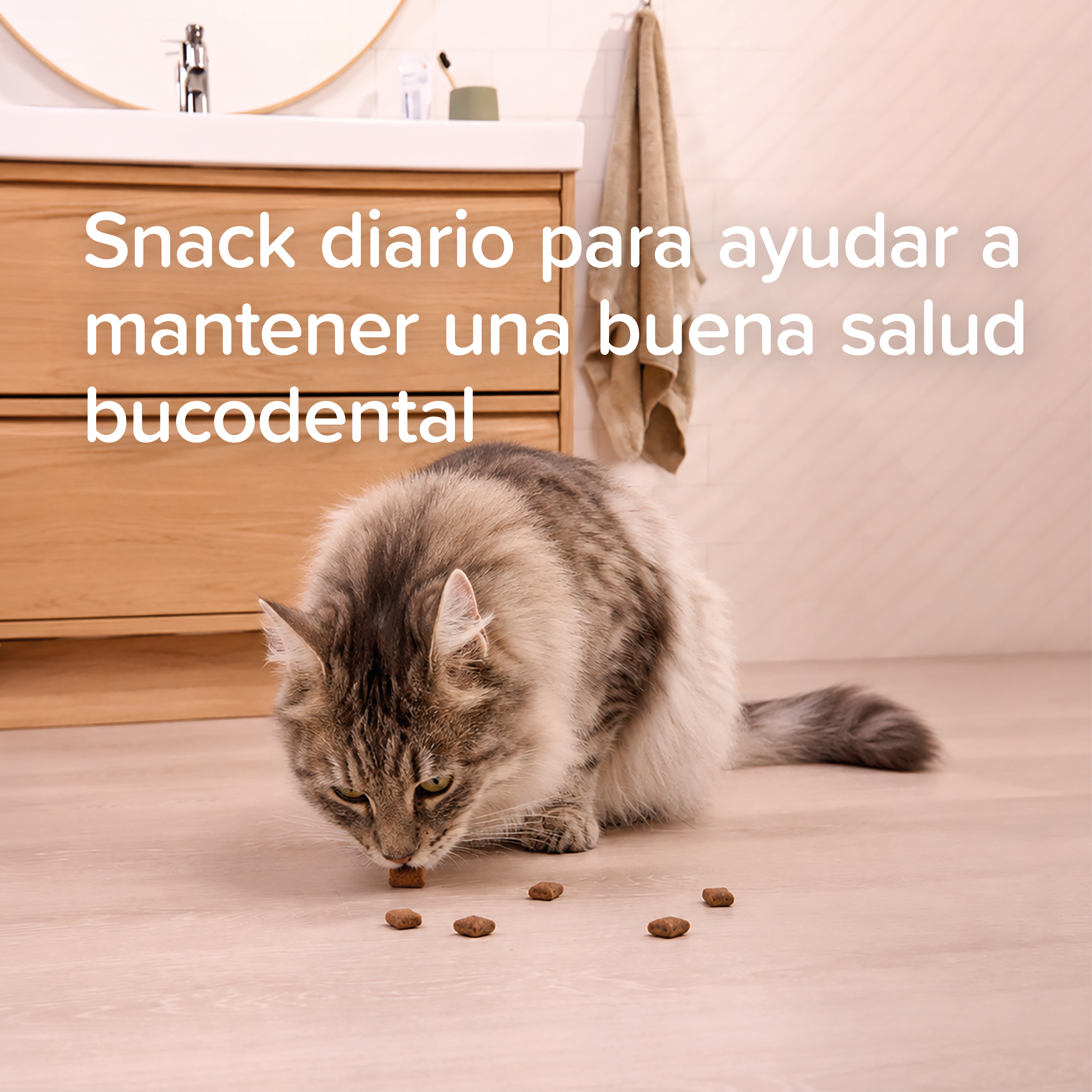 Beaphar Dental Bits - Snack para Gatos - 150g