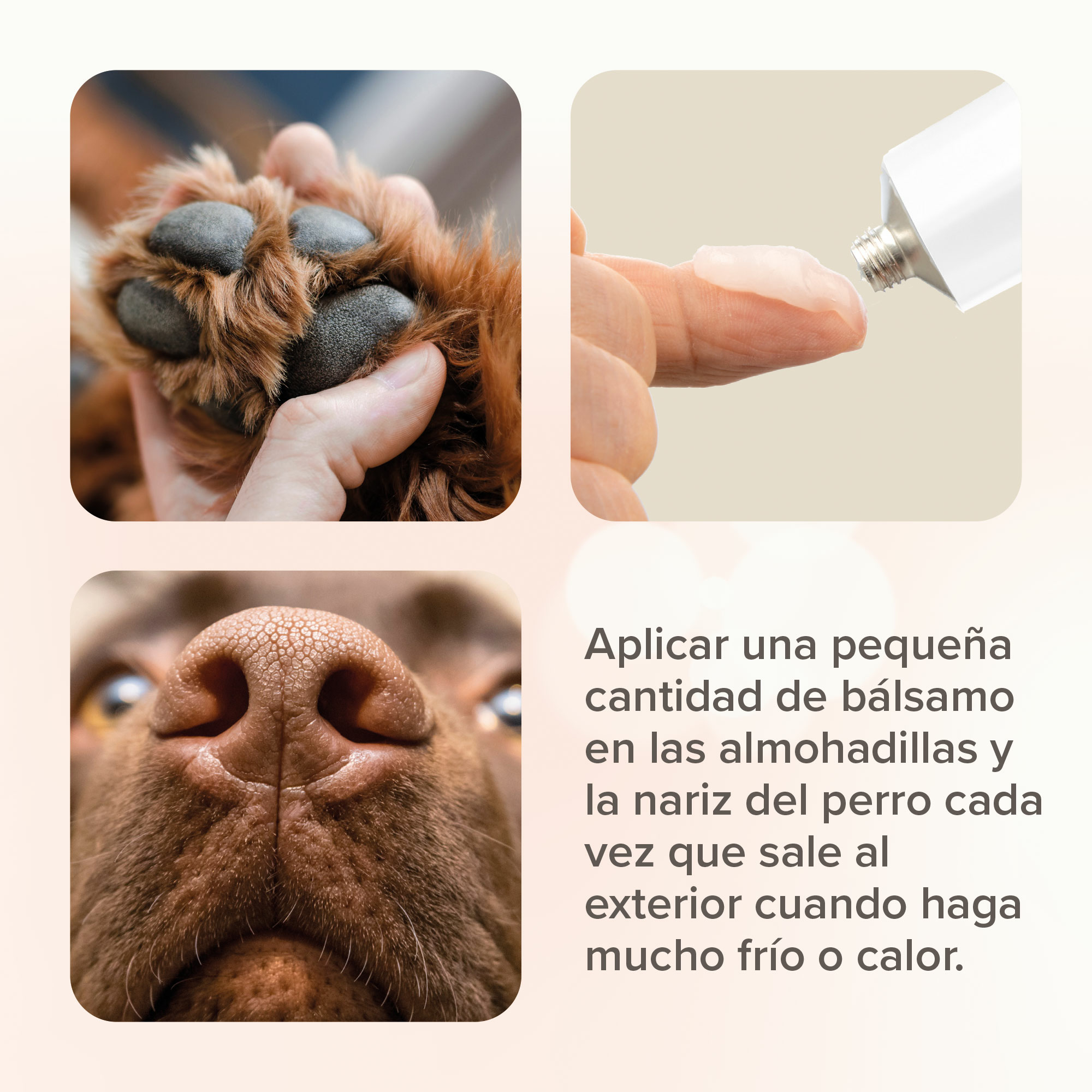 Beaphar Bálsamo para Almohadillas - 40ml