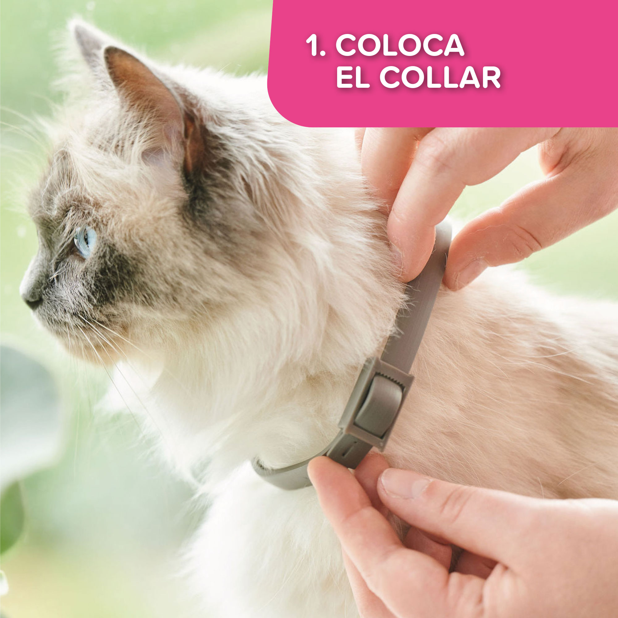 CATCOMFORT CALMING COLLAR 35cm - obroża z feromonami dla kotów
