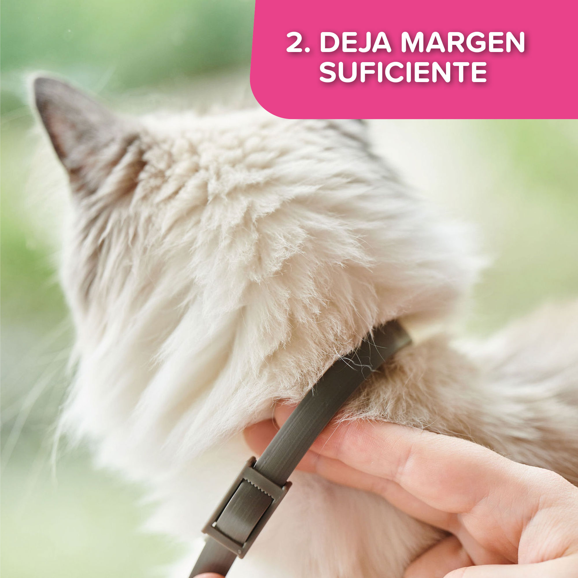 CATCOMFORT CALMING COLLAR 35cm - obroża z feromonami dla kotów