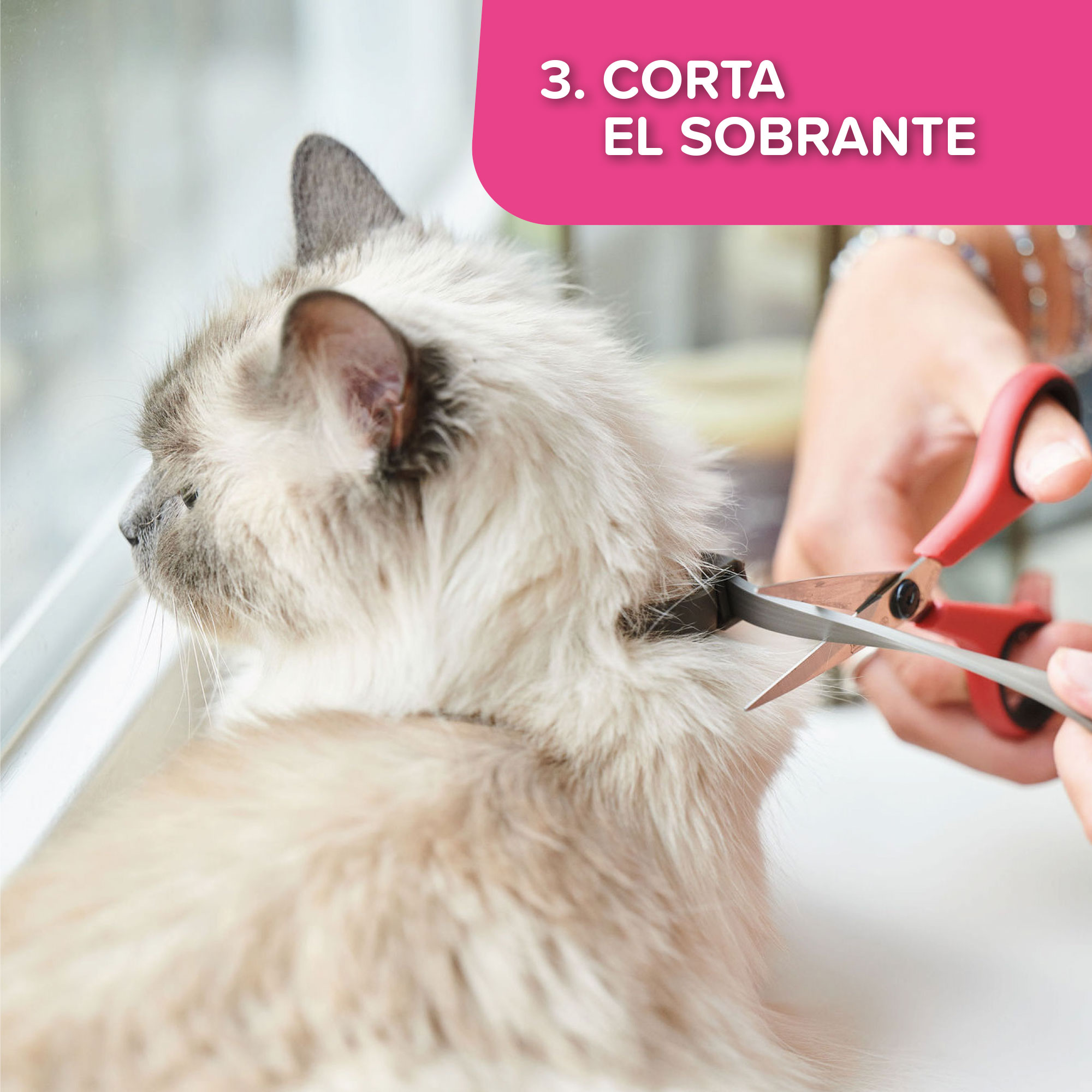 CATCOMFORT CALMING COLLAR 35cm - obroża z feromonami dla kotów