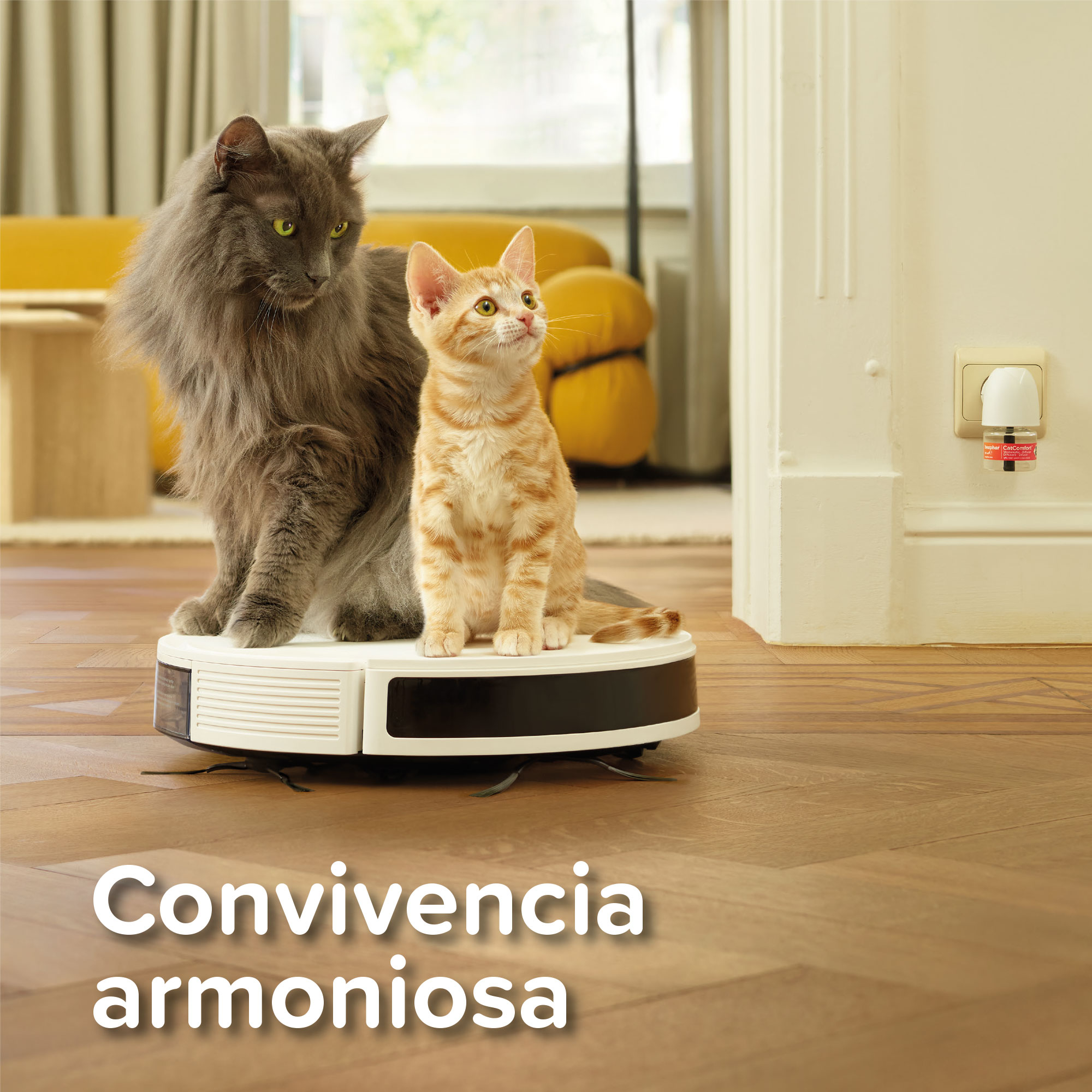 Beaphar CatComfort® Excellence Recambio de Difusor Gatos - 48ml