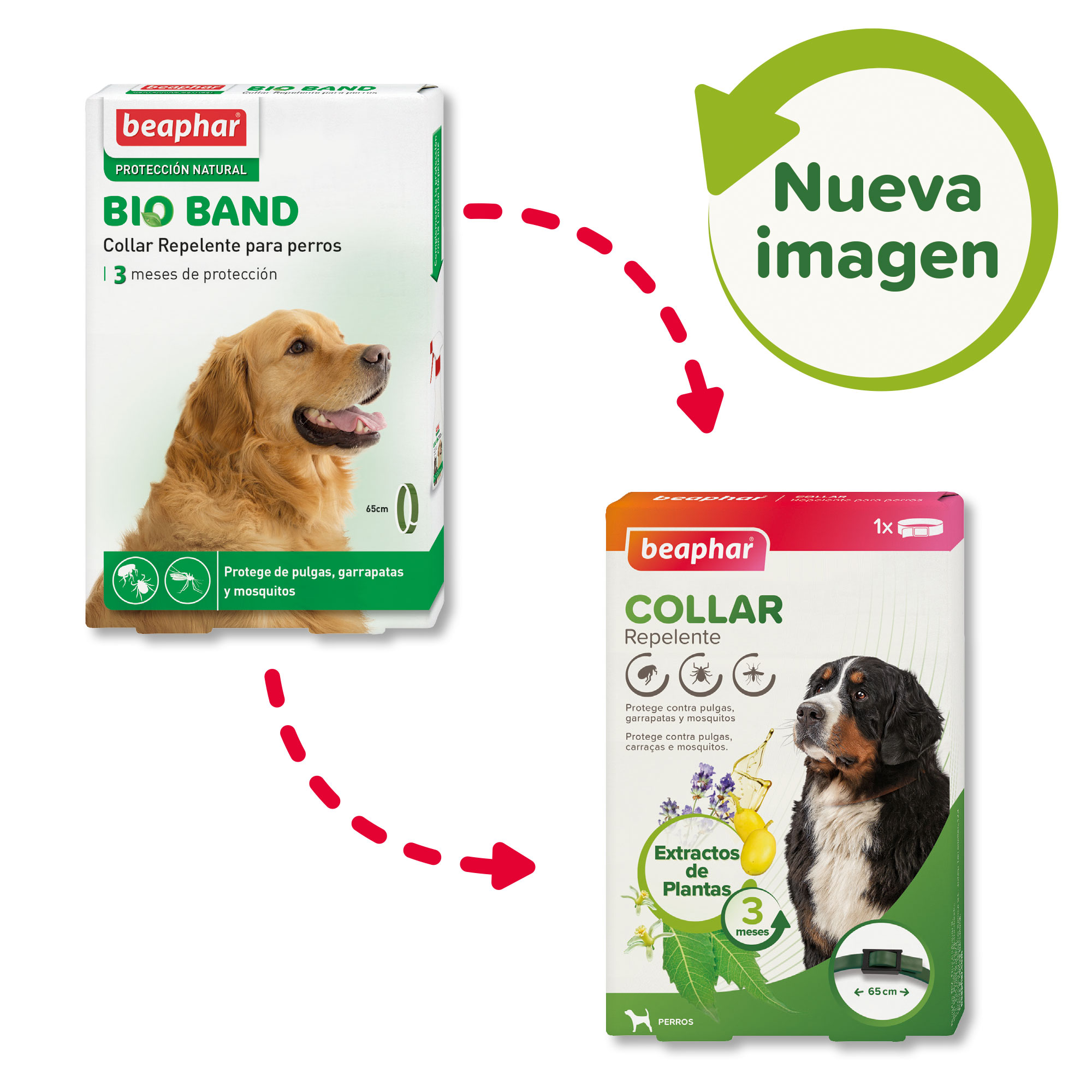 Beaphar Collar Repelente Perro - 65 cm
