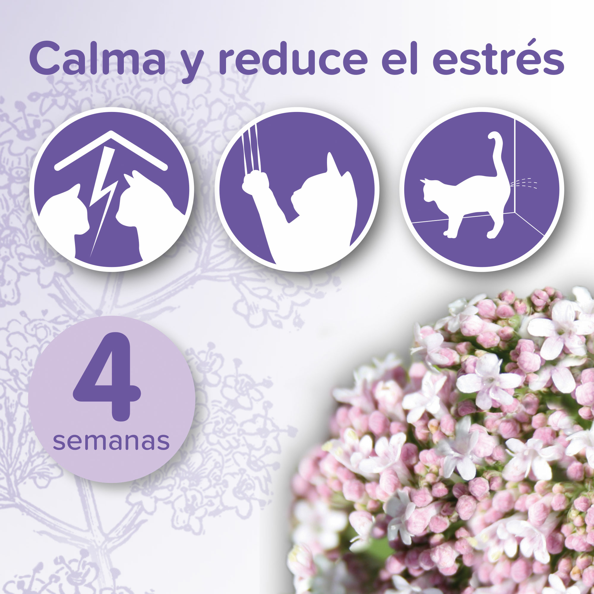 Beaphar No Stress Gato Recambio de Difusor - 30ml